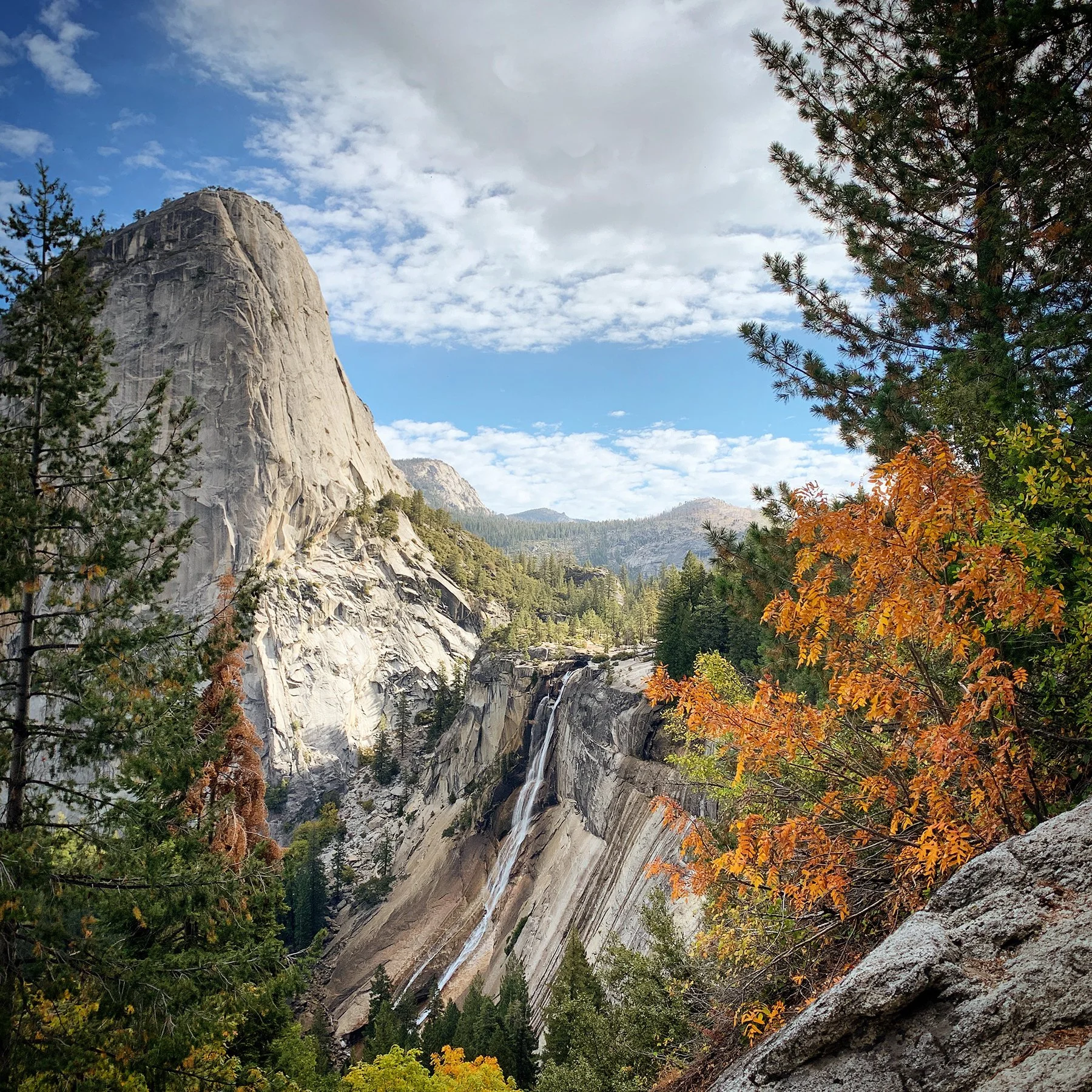   Yosemite National Park / 2019  