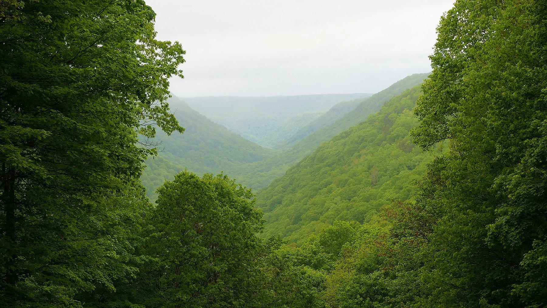   West Virginia / 2019  