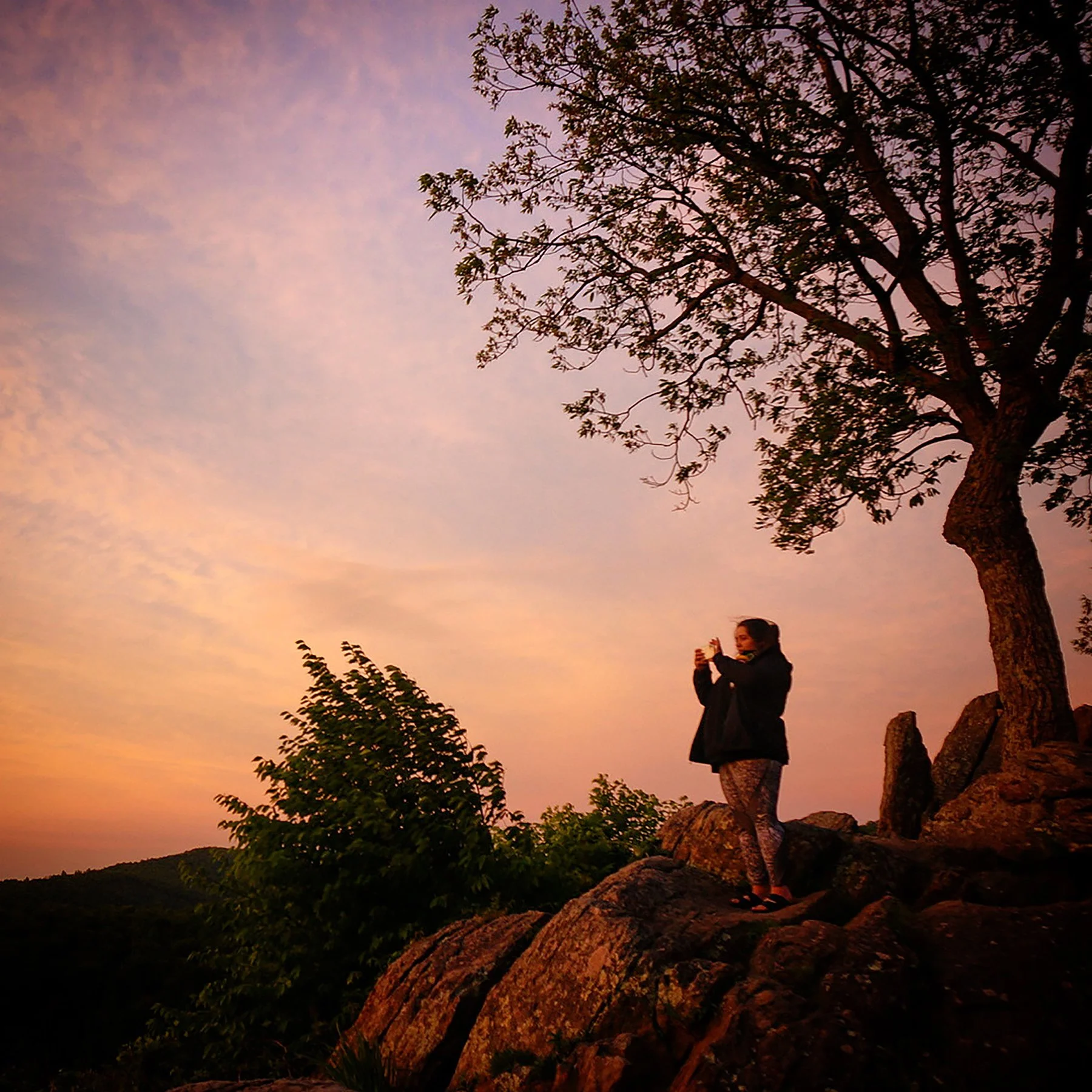  Shenandoah National Park / 2021  