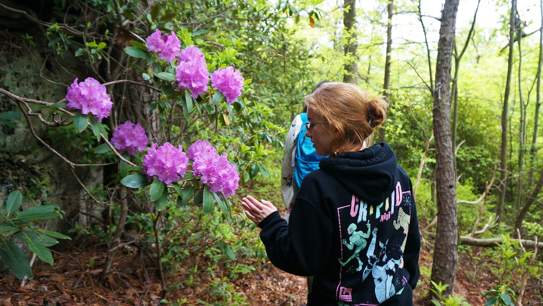   West Virginia / 2019  