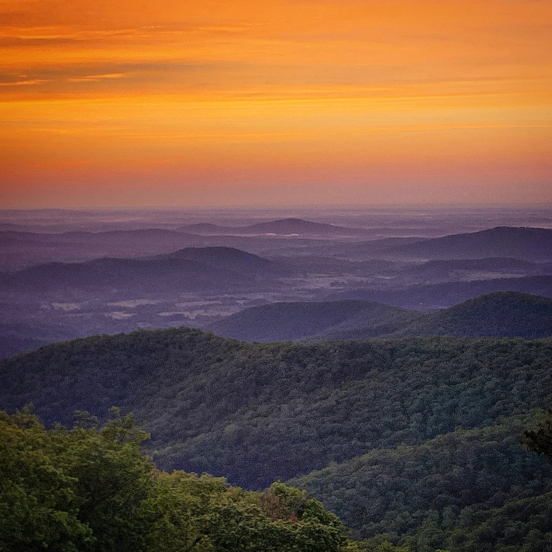  Shenandoah National Park / 2021  