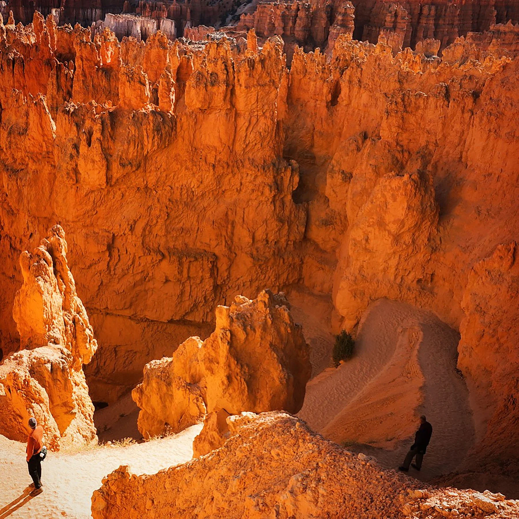   Bryce National Park / 2019  