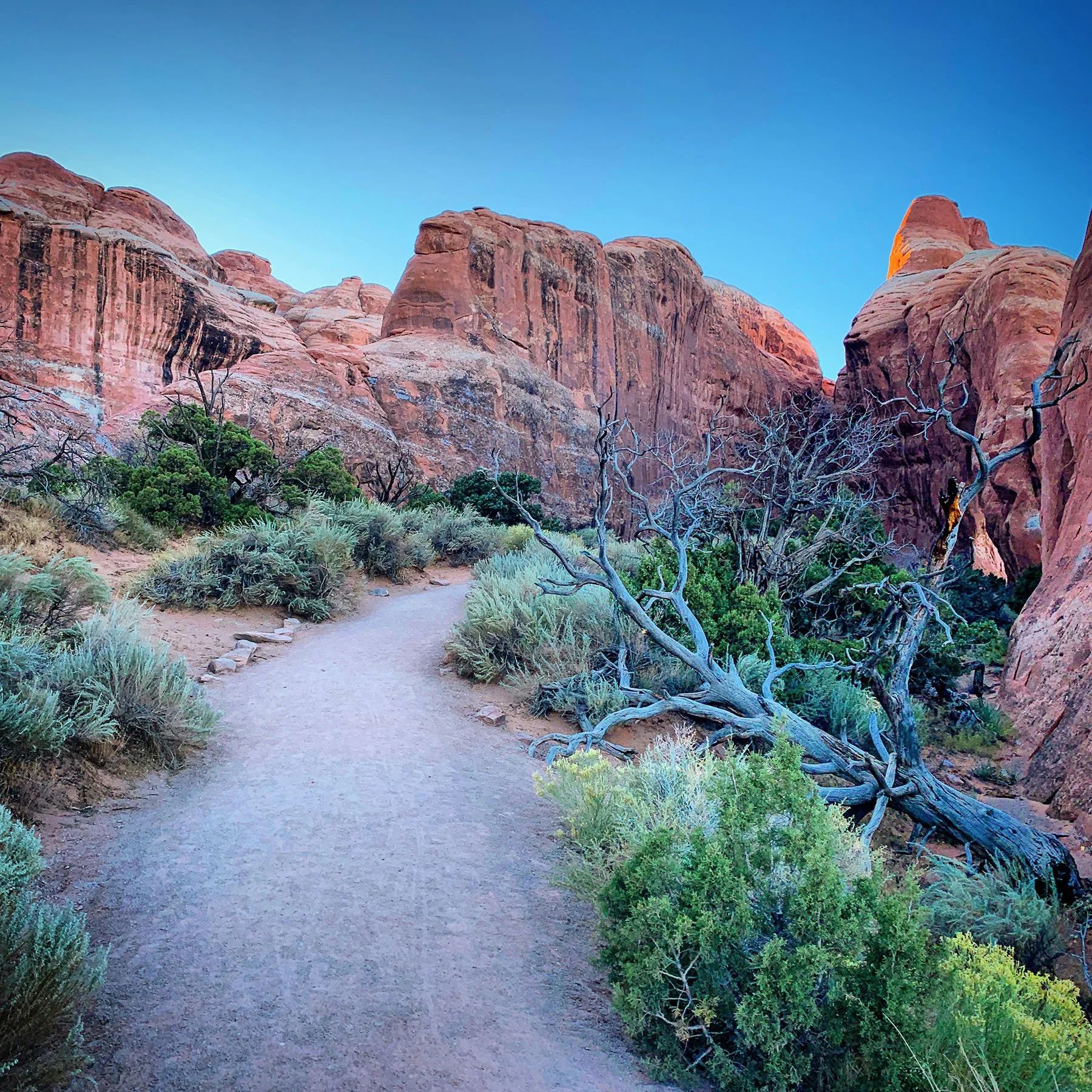   Arches National Park / 2019  