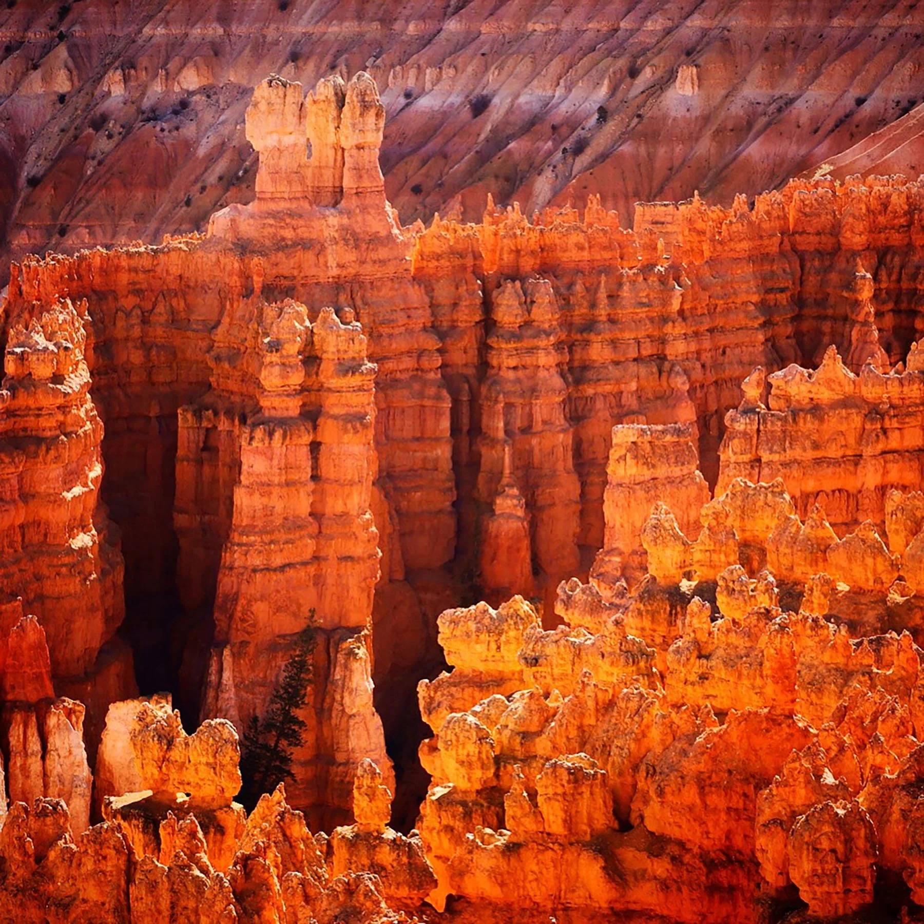   Bryce National Park / 2019  