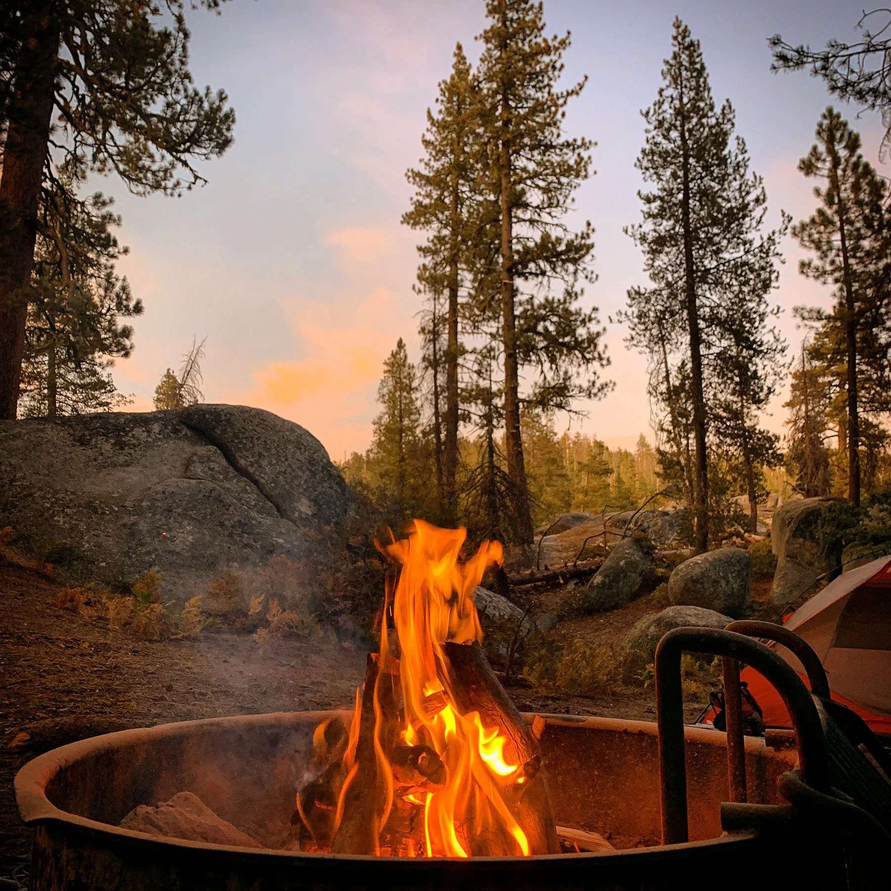   Yosemite National Park / 2019  