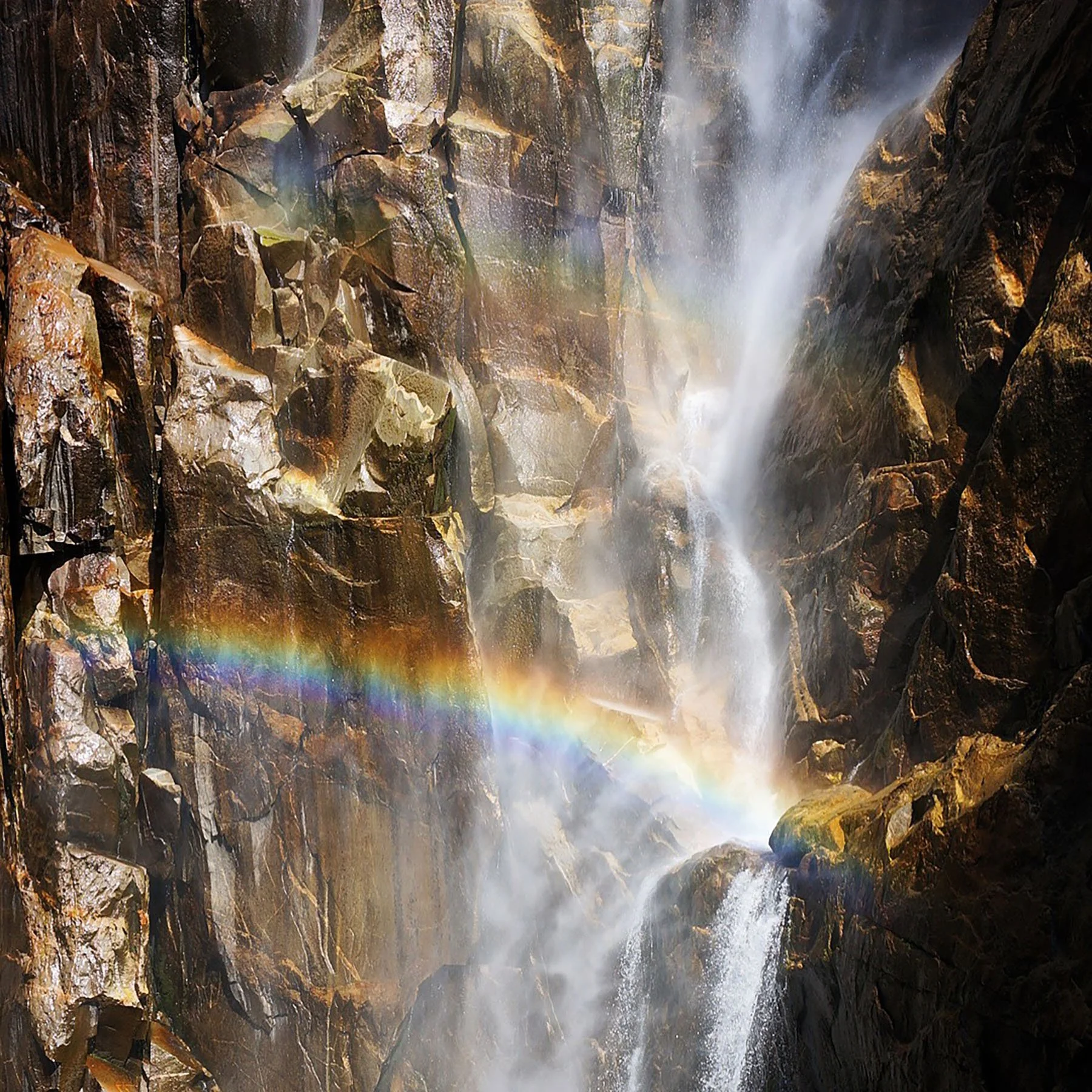   Yosemite National Park / 2019  
