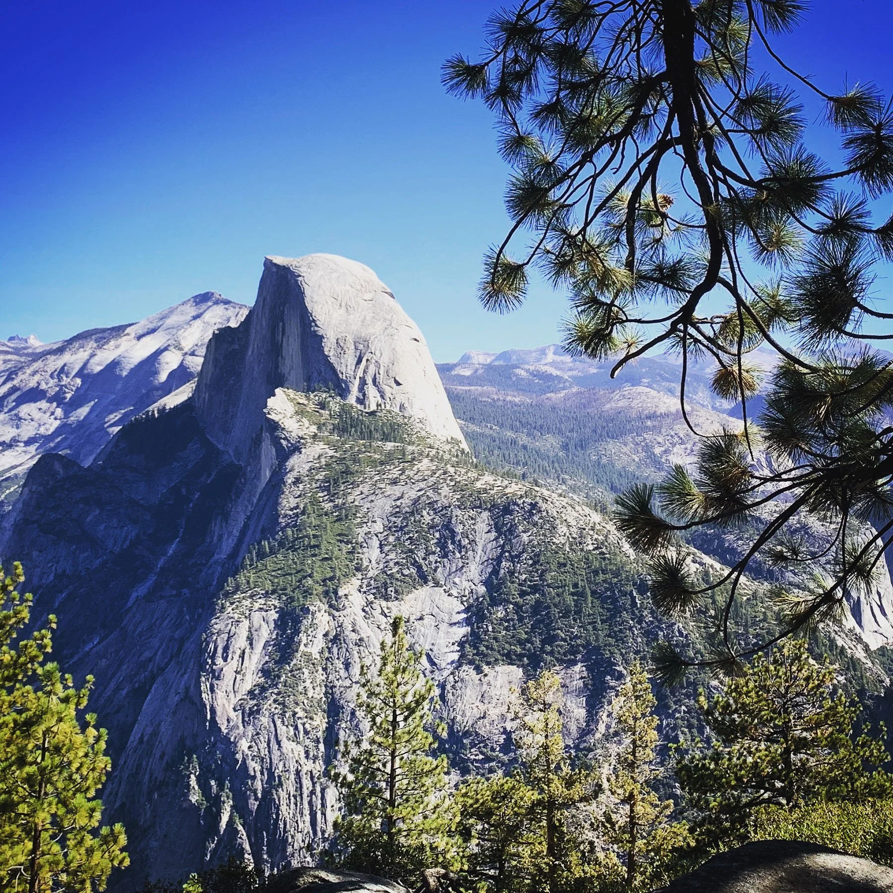   Yosemite National Park / 2019  