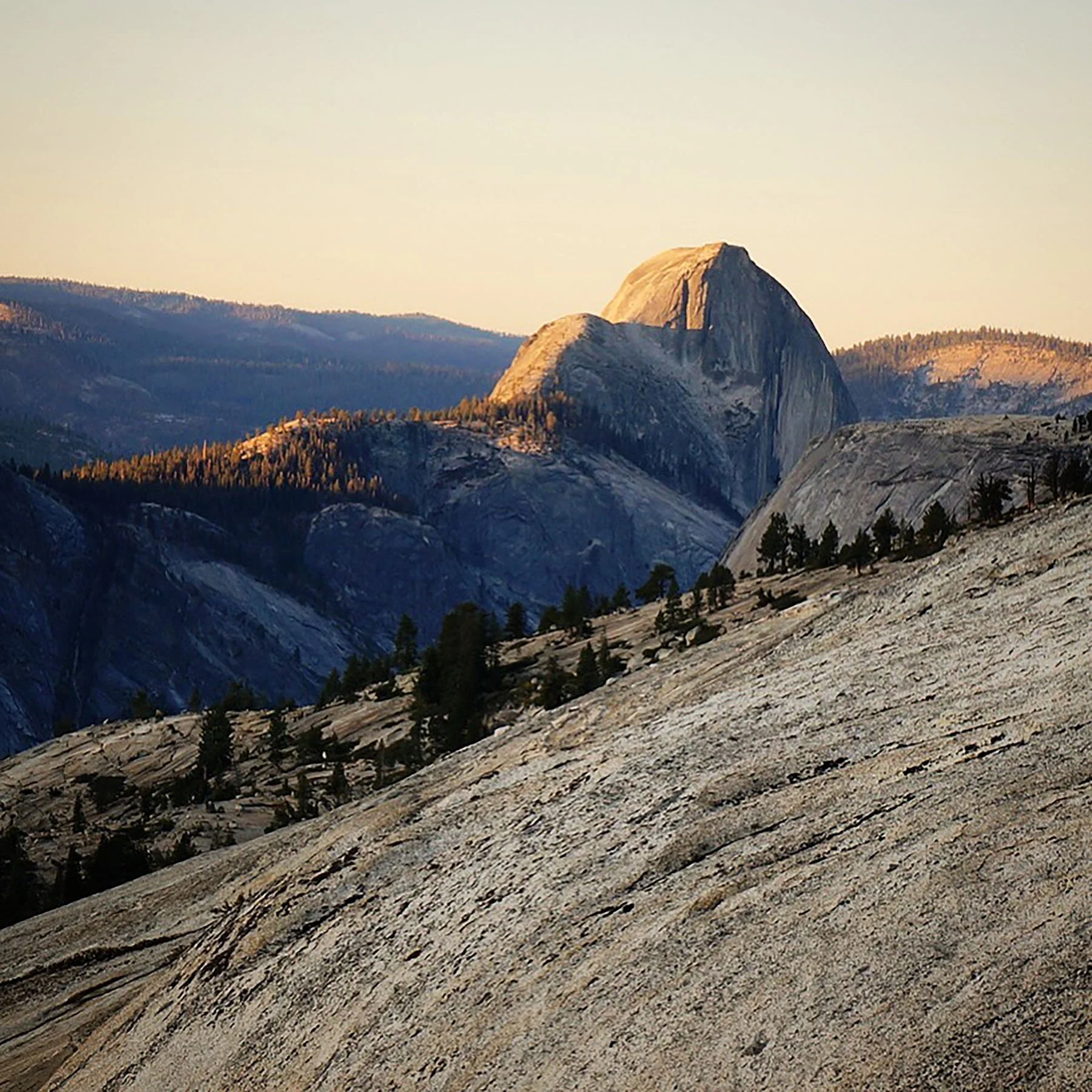   Yosemite National Park / 2019  