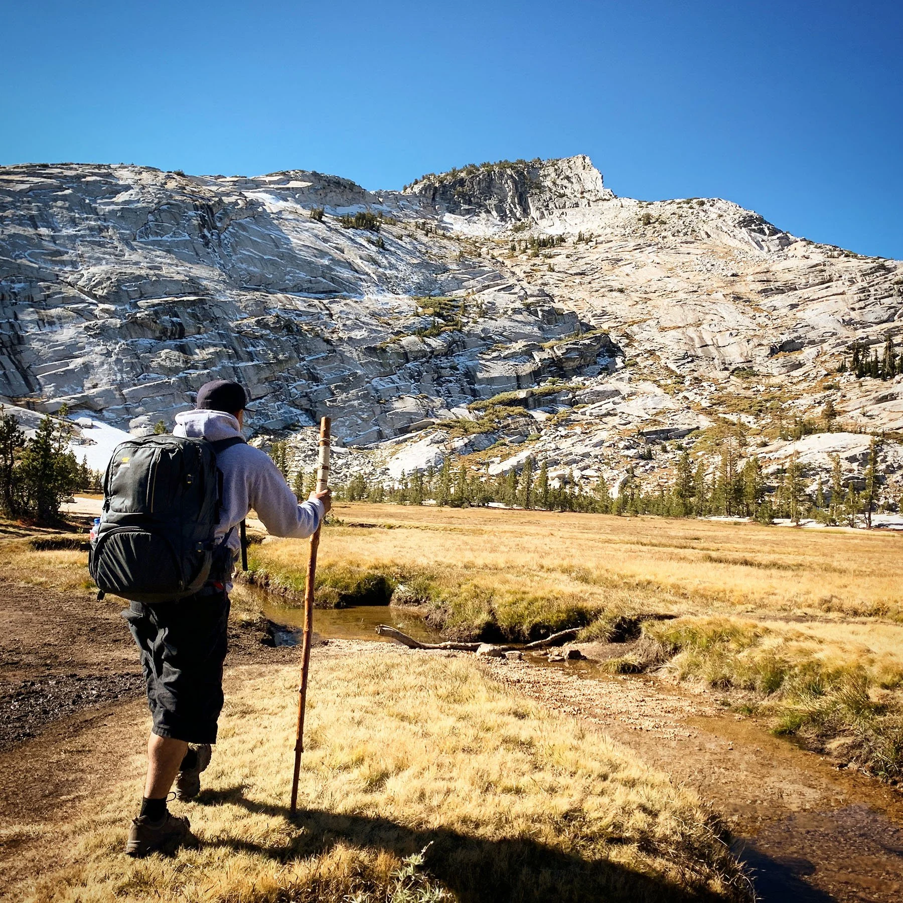   Yosemite National Park / 2019  