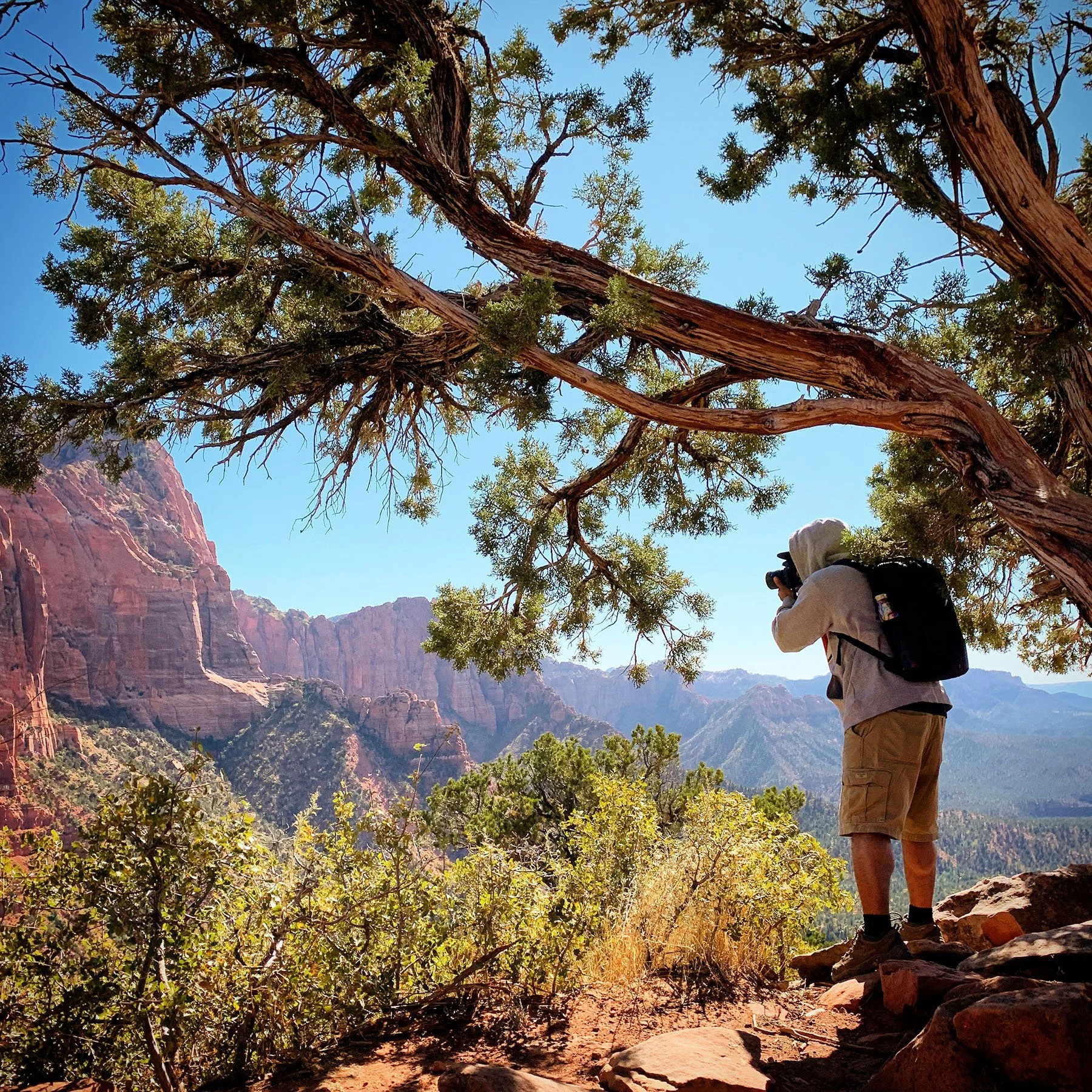  Zion National Park / 2019  
