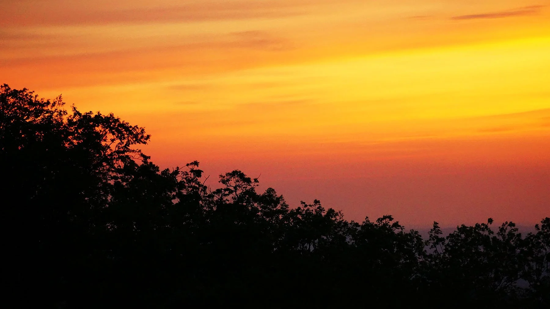   Shenandoah National Park / 2021  
