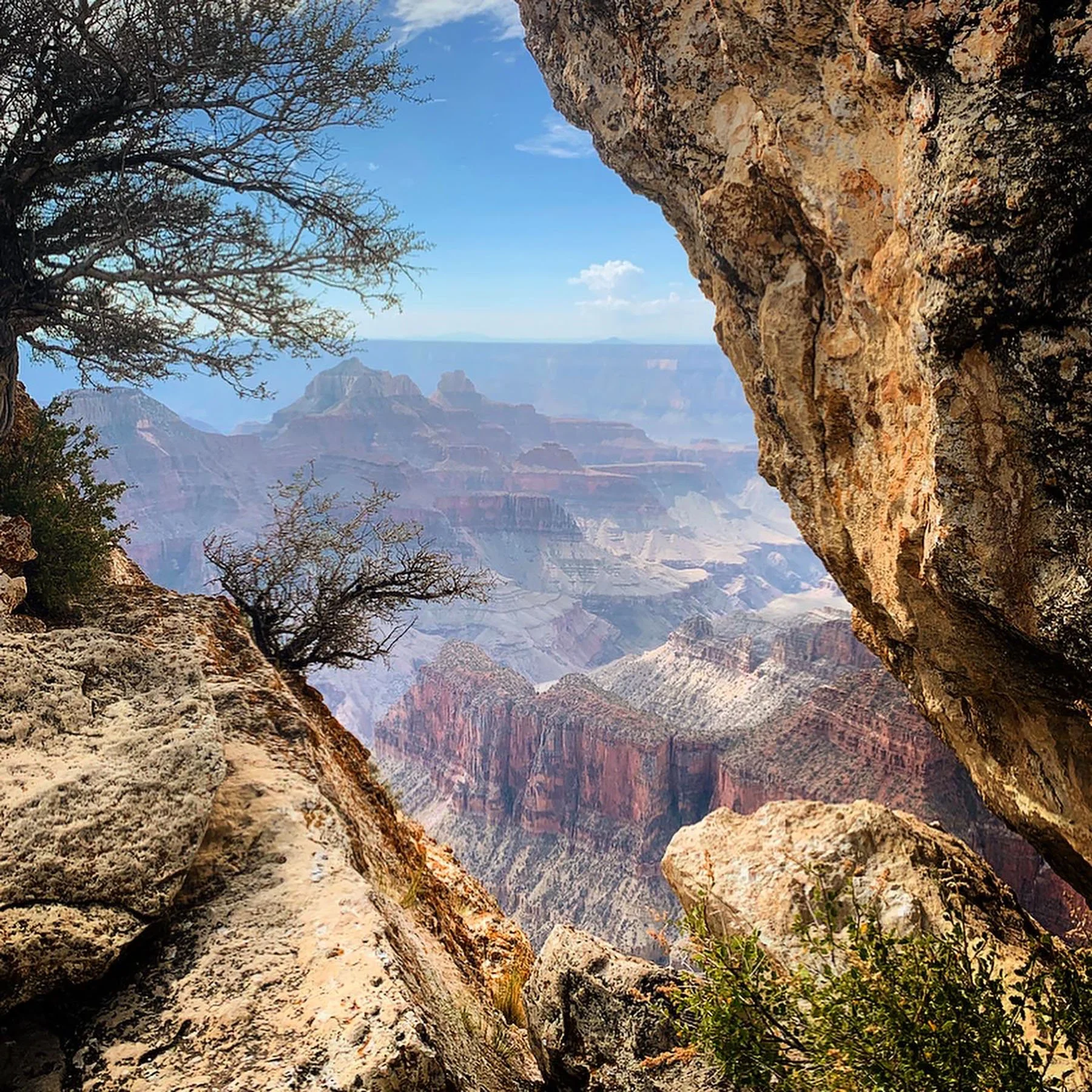   Grand Canyon (North Rim) / 2021  