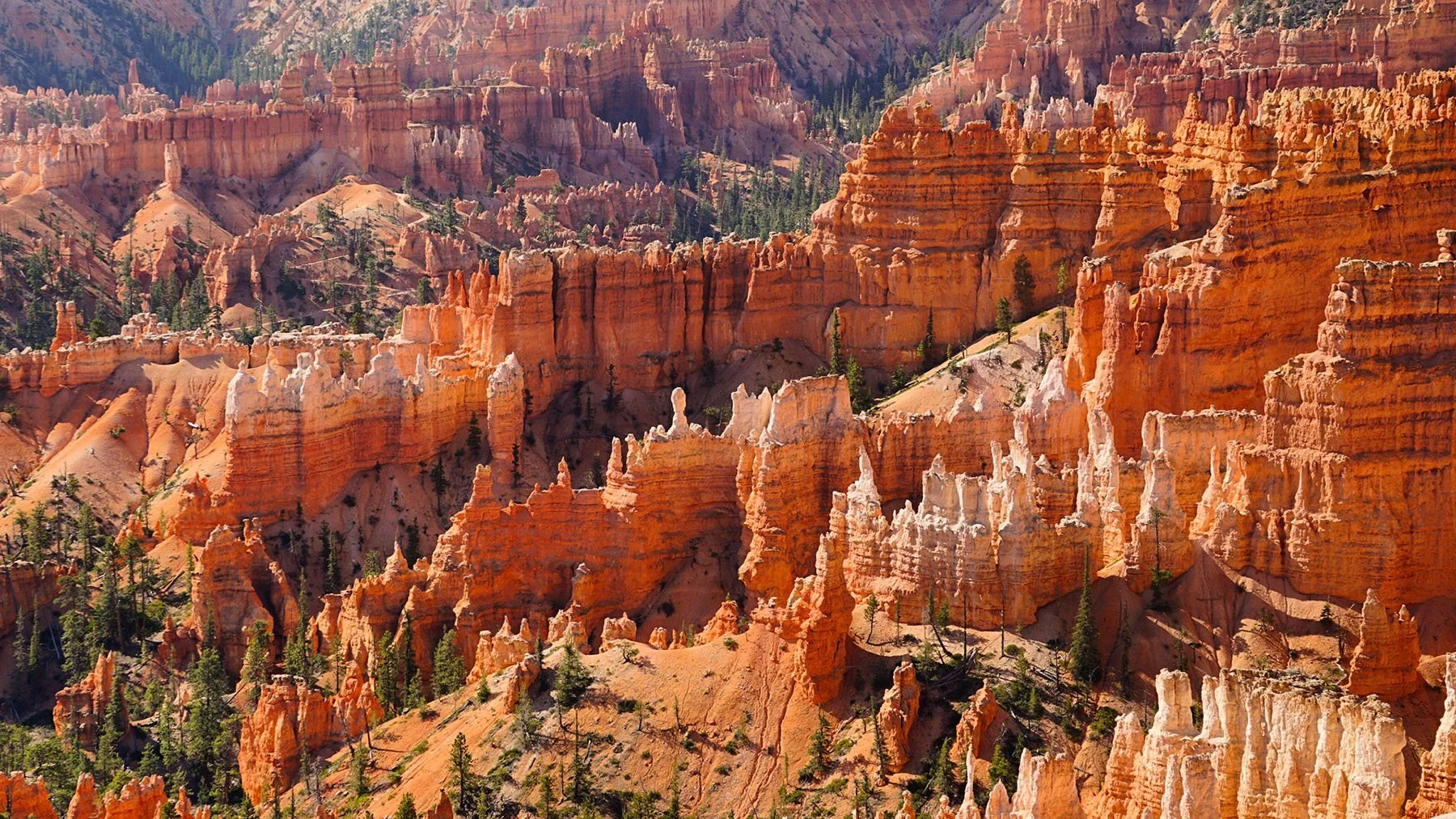   Bryce Canyon National Park / 2021  