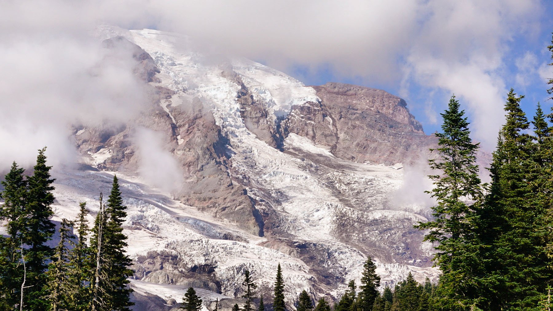   Mount Rainier National Park / 2021  