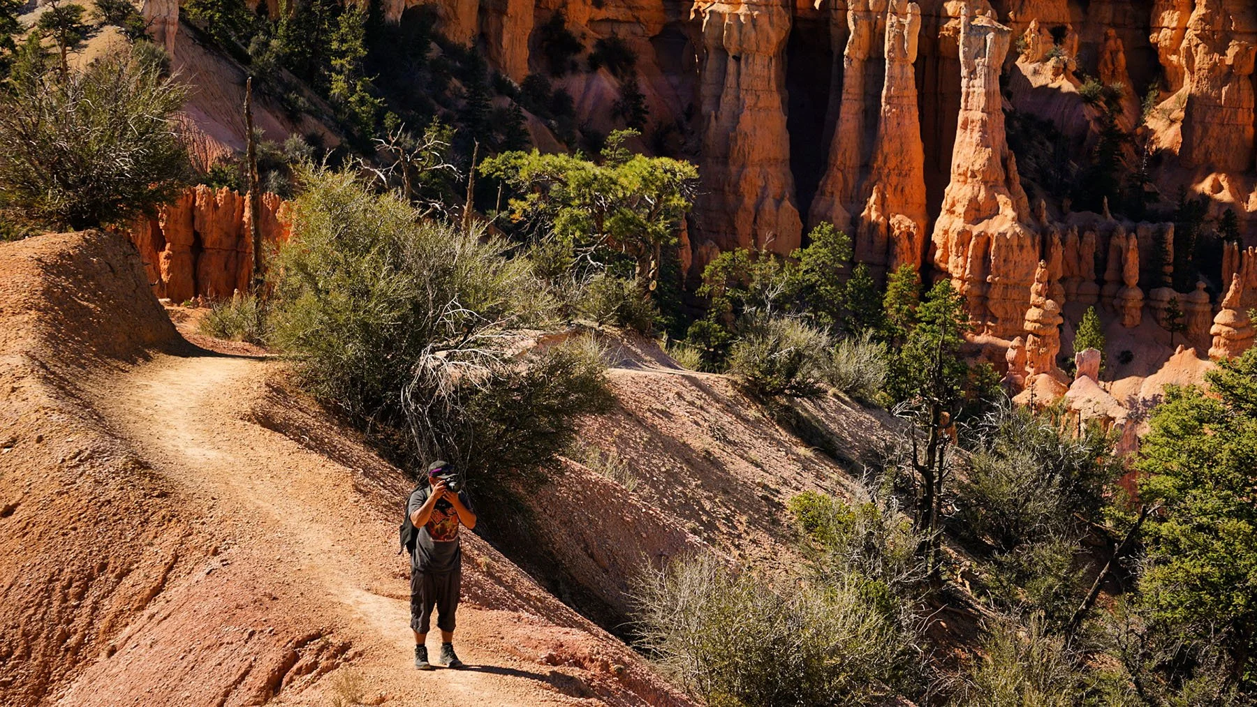   Bryce Canyon National Park / 2021  