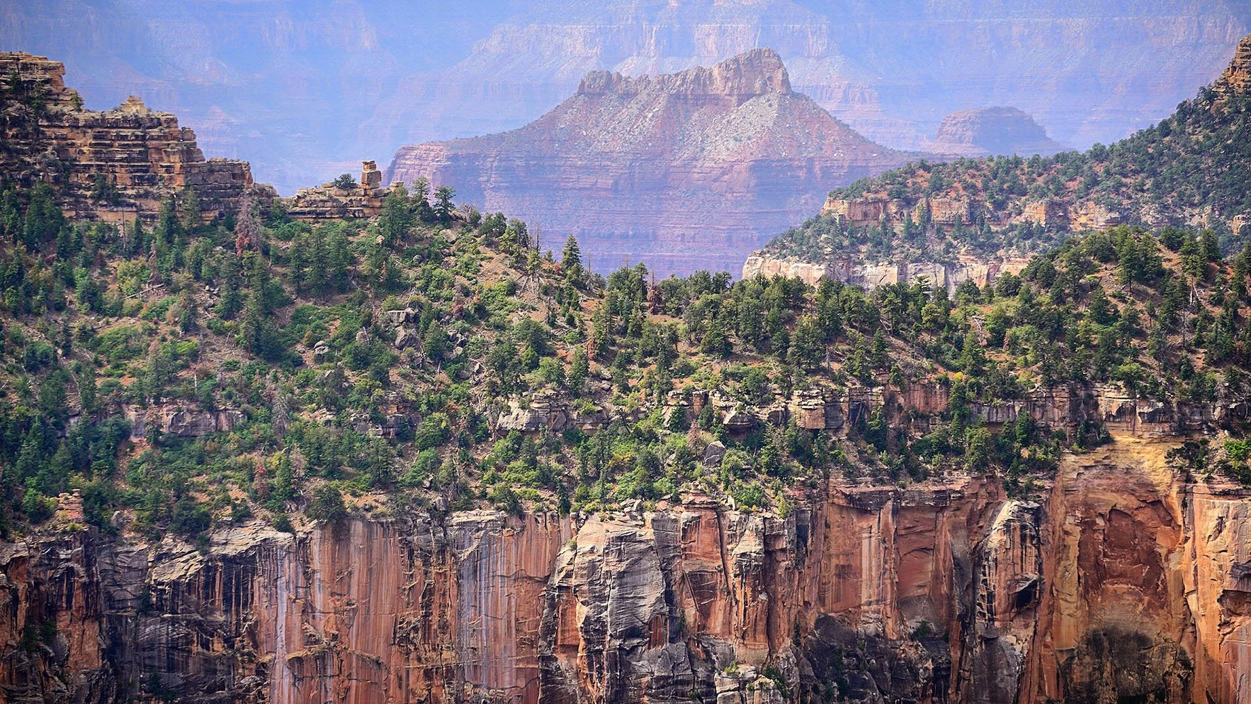   Bryce Canyon National Park / 2021  