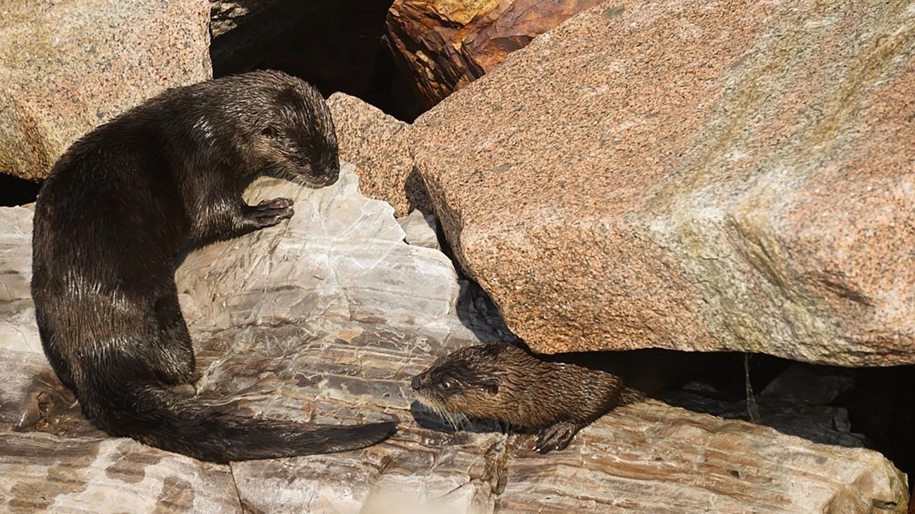   Acadia National Park / 2022  