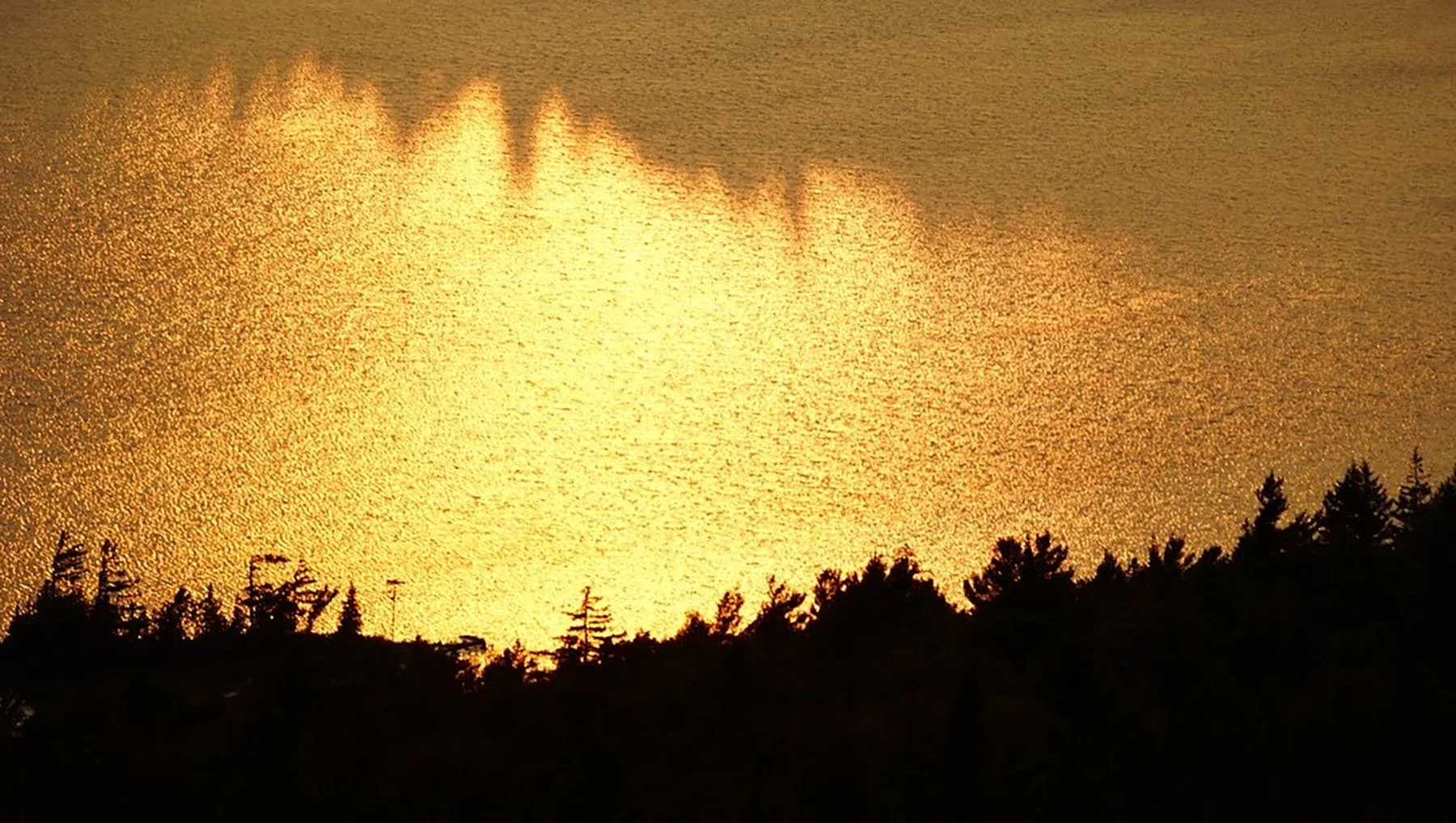   Acadia National Park / 2022  