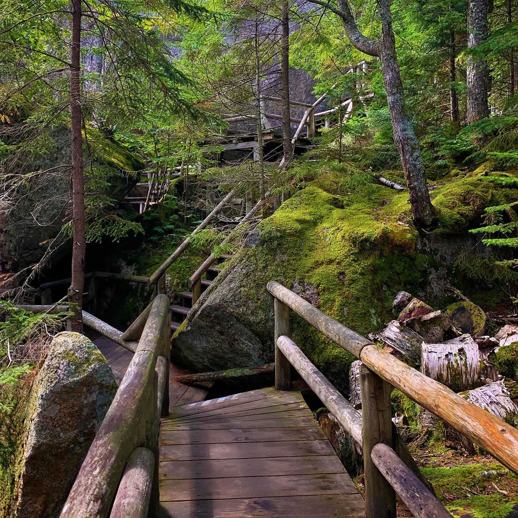   New Hampshire / 2022  