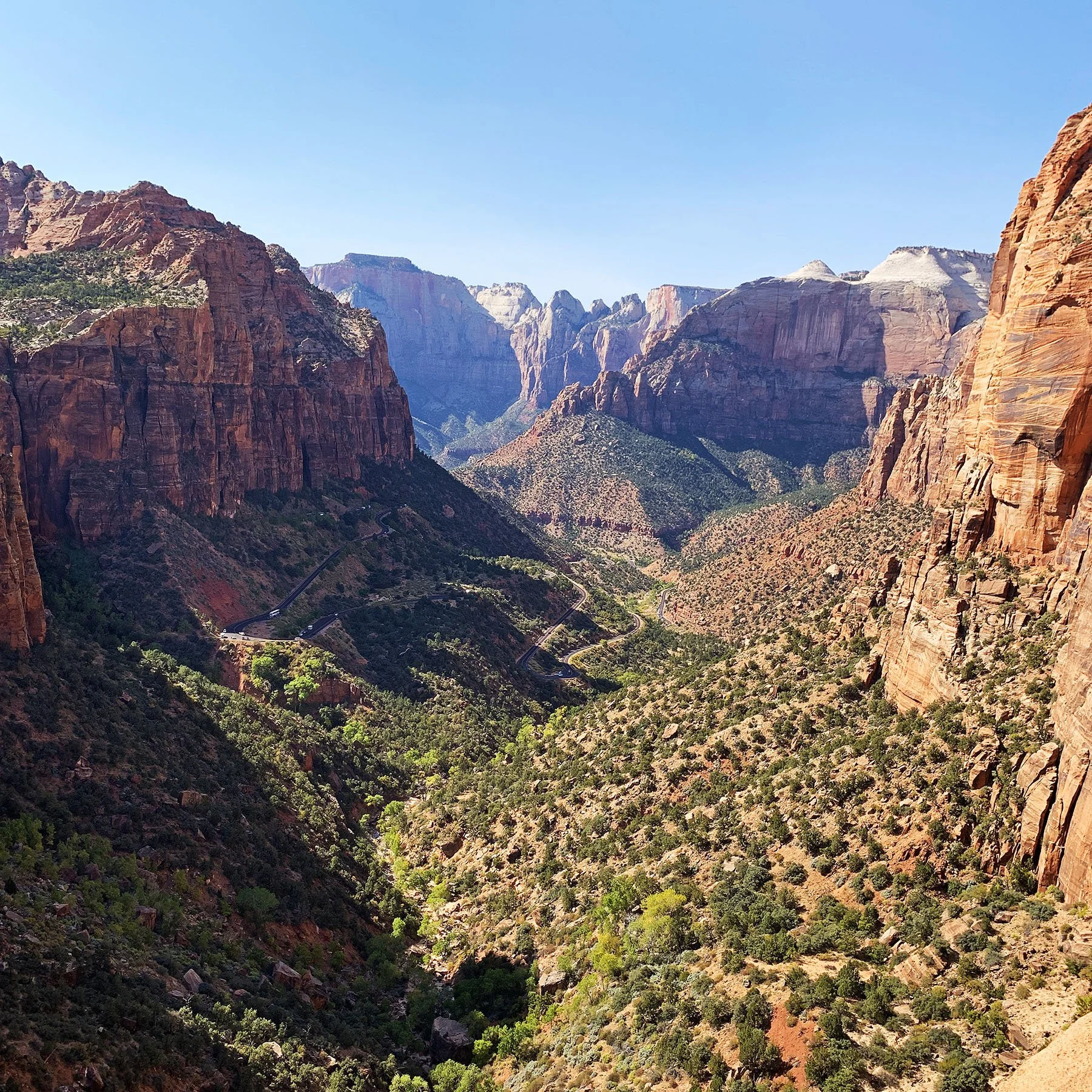   Zion National Park / 2019  