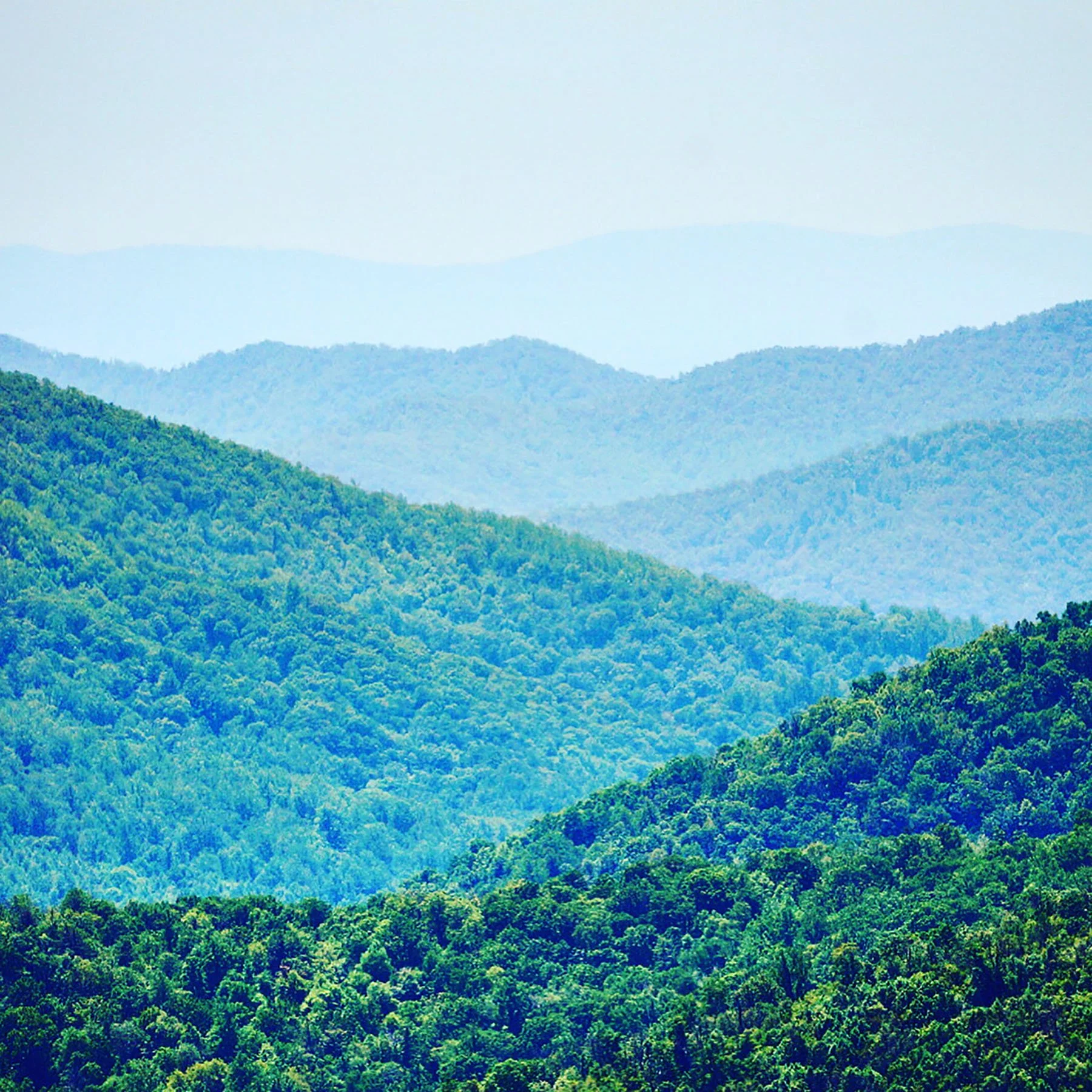   Shenandoah National Park / 2021  