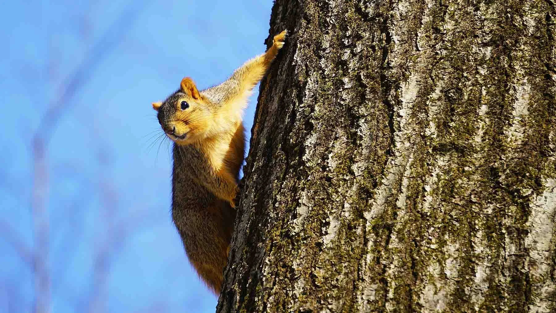Ape_Bleakney_Nature_Macro_Mill_Stream_Run_DSC04893 2x.JPG
