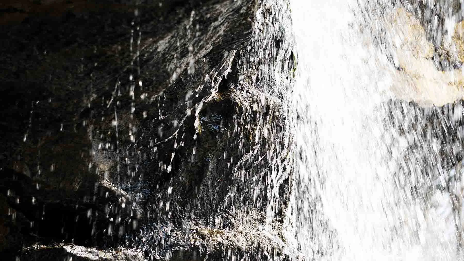 Ape_Bleakney_Nature_Macro_Dundee_Falls_DSC05031x.JPG