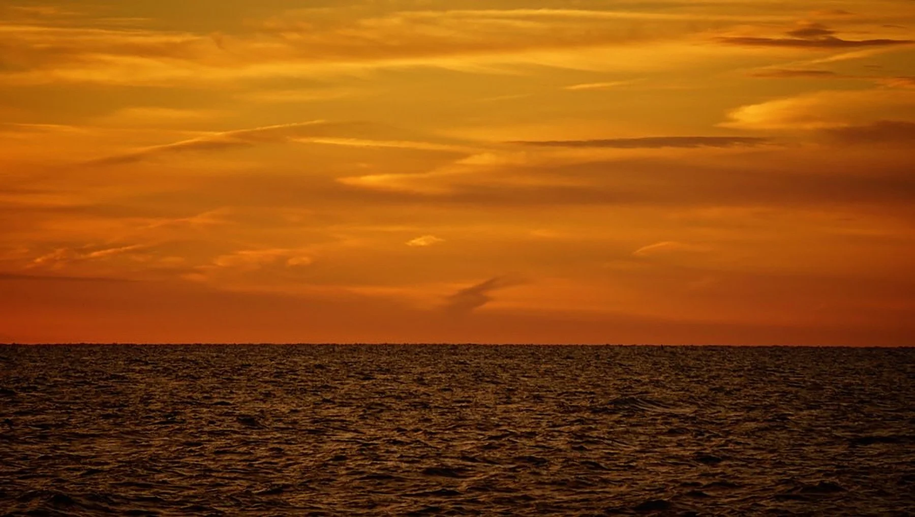 Ape_Bleakney_Lake_Erie_CGRI0988.JPG