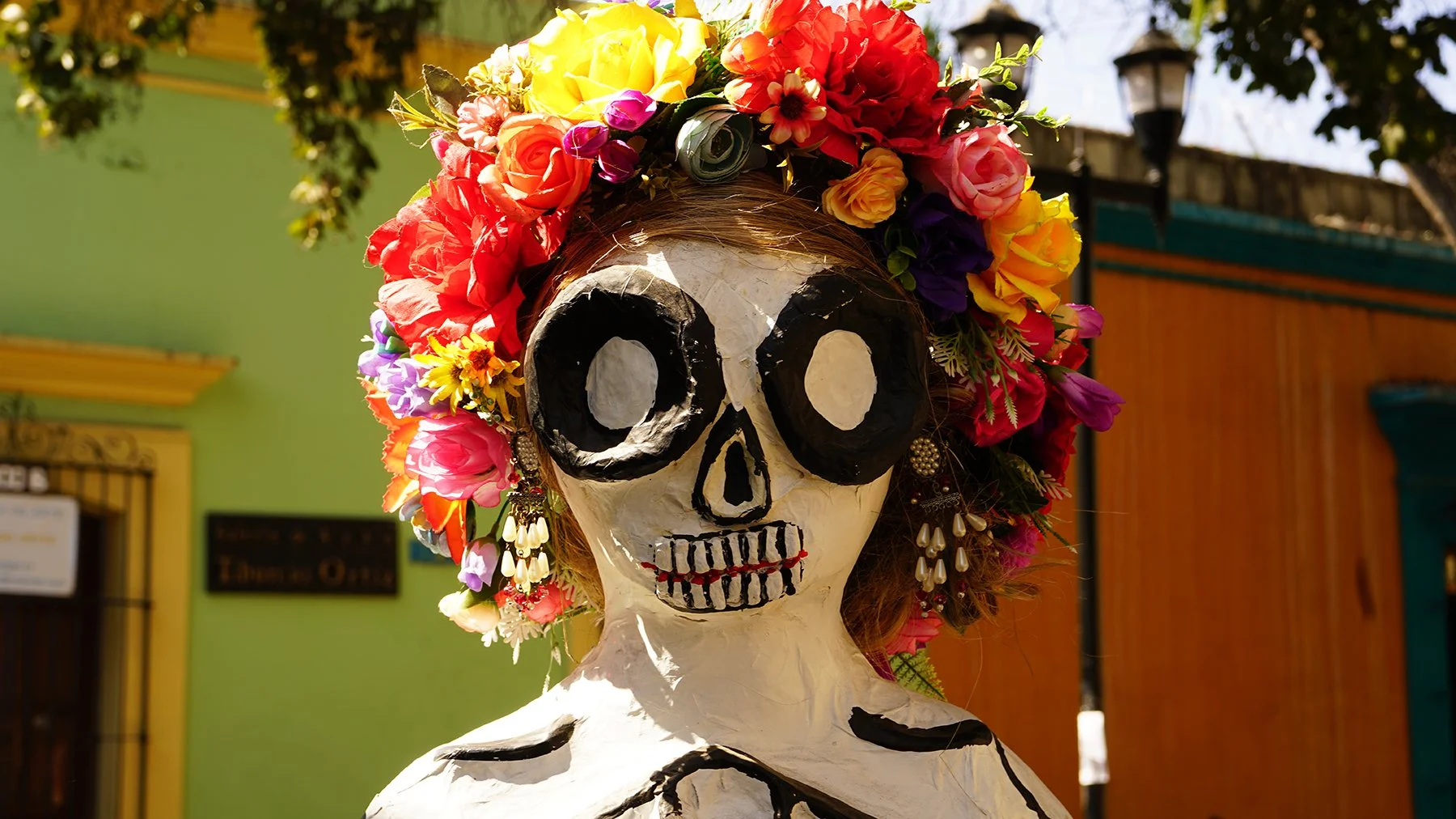 Ape_Bleakney_Oaxaca_DSC00640x.JPG