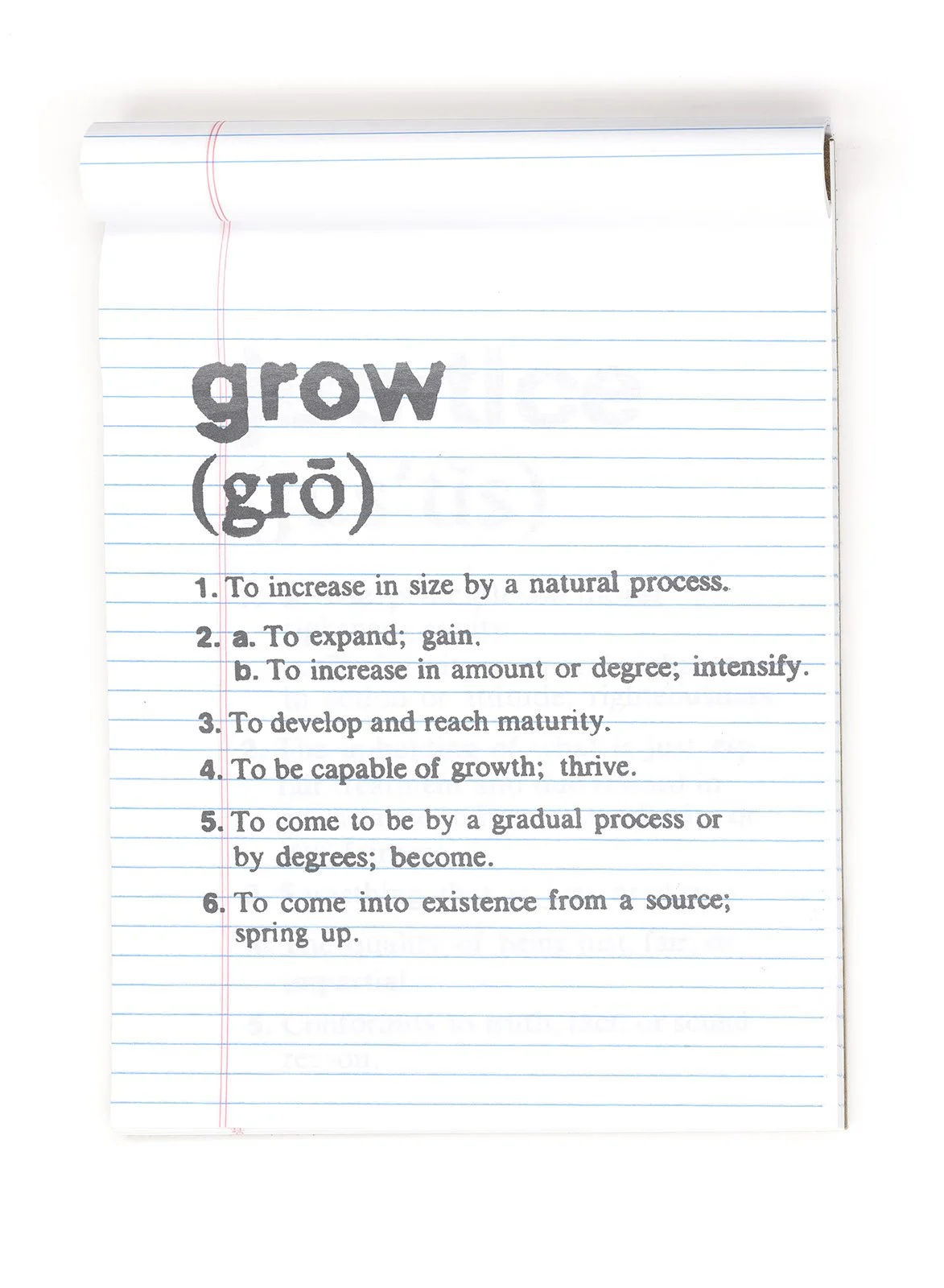 Ape_Bleakney_Defining_Moment_Notepad - Grow - scan_113x.jpg