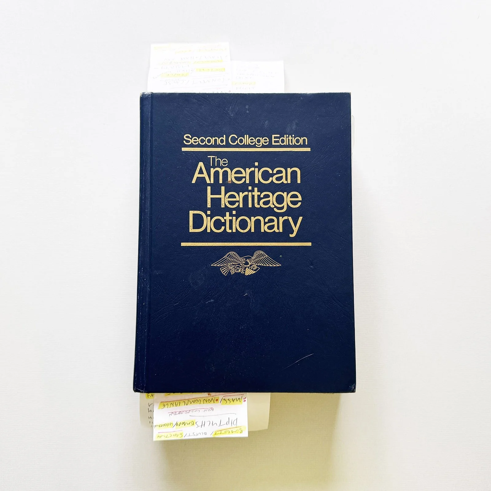 Ape_Bleakney_Defining_Moment_Dictionary - IMG_9297.JPG
