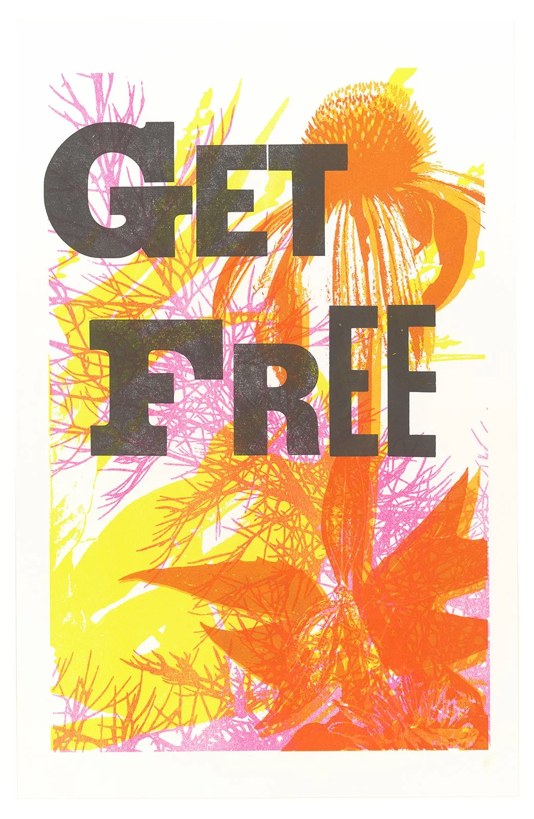 Ape_Bleakney_Directangle Press_Mantra_Monoprint_scan_464x.jpg