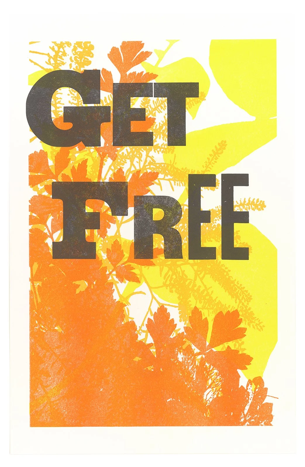 Ape_Bleakney_Directangle Press_Mantra_Monoprint_scan_463x.jpg