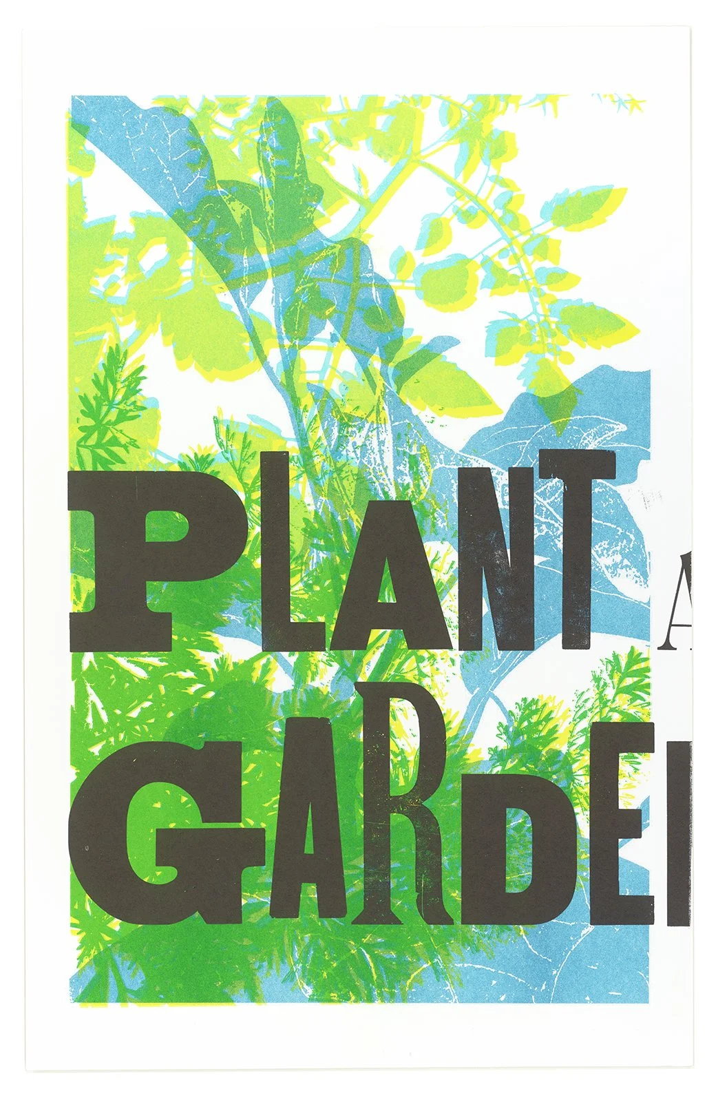 Ape_Bleakney_Directangle Press_Mantra_Monoprint_scan_486x.jpg