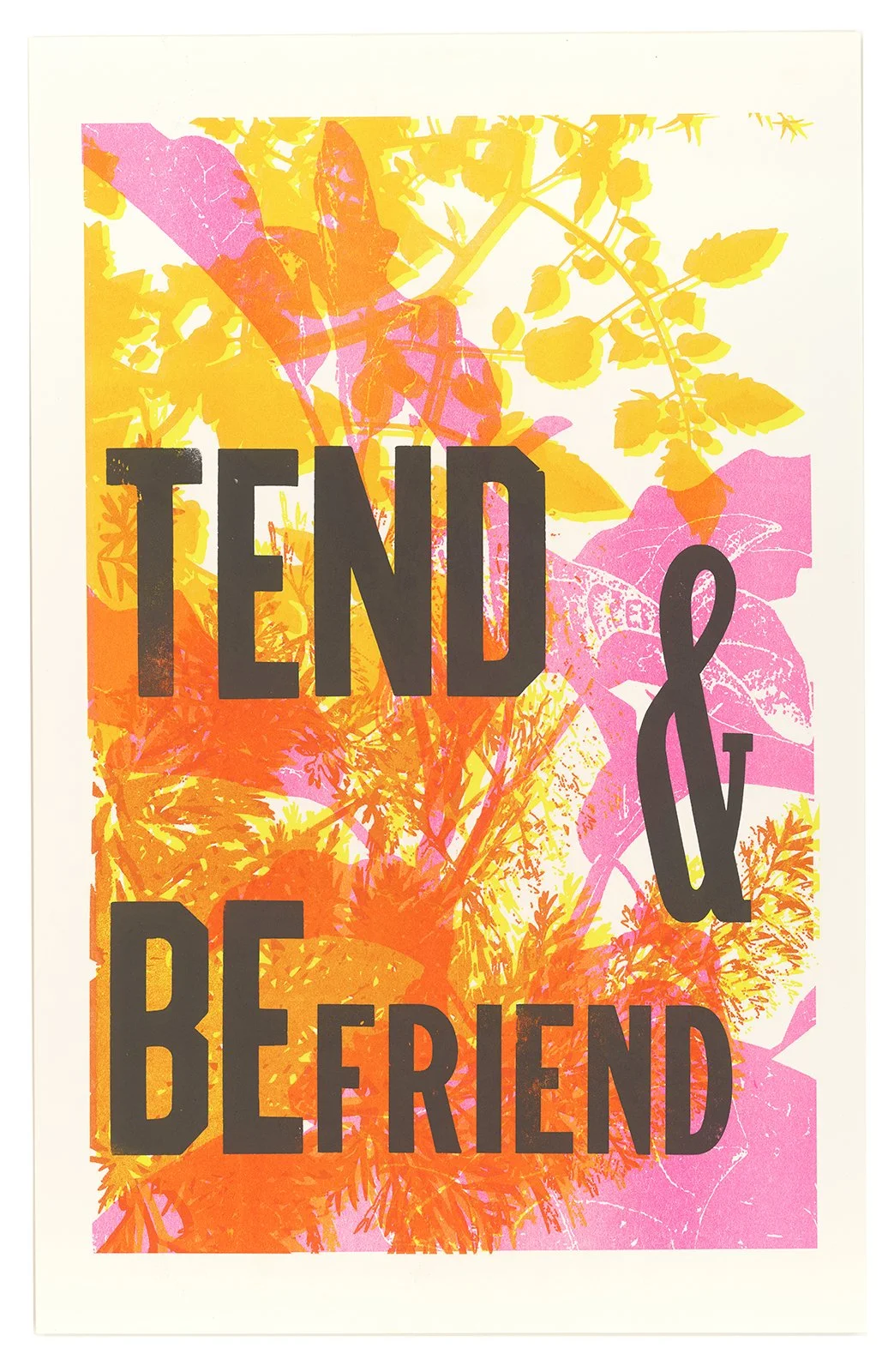 Ape_Bleakney_Directangle Press_Mantra_Monoprint_scan_510x.jpg