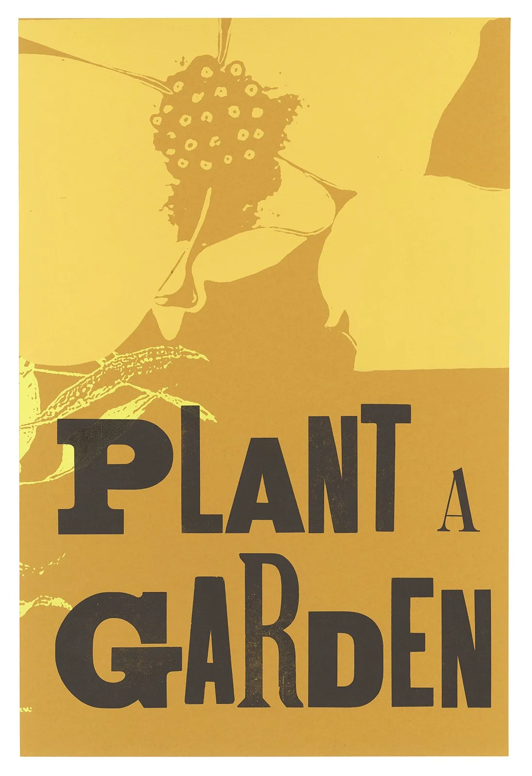 Ape_Bleakney_Mantra_Plant A Garden Mono - scan_221xx.jpg