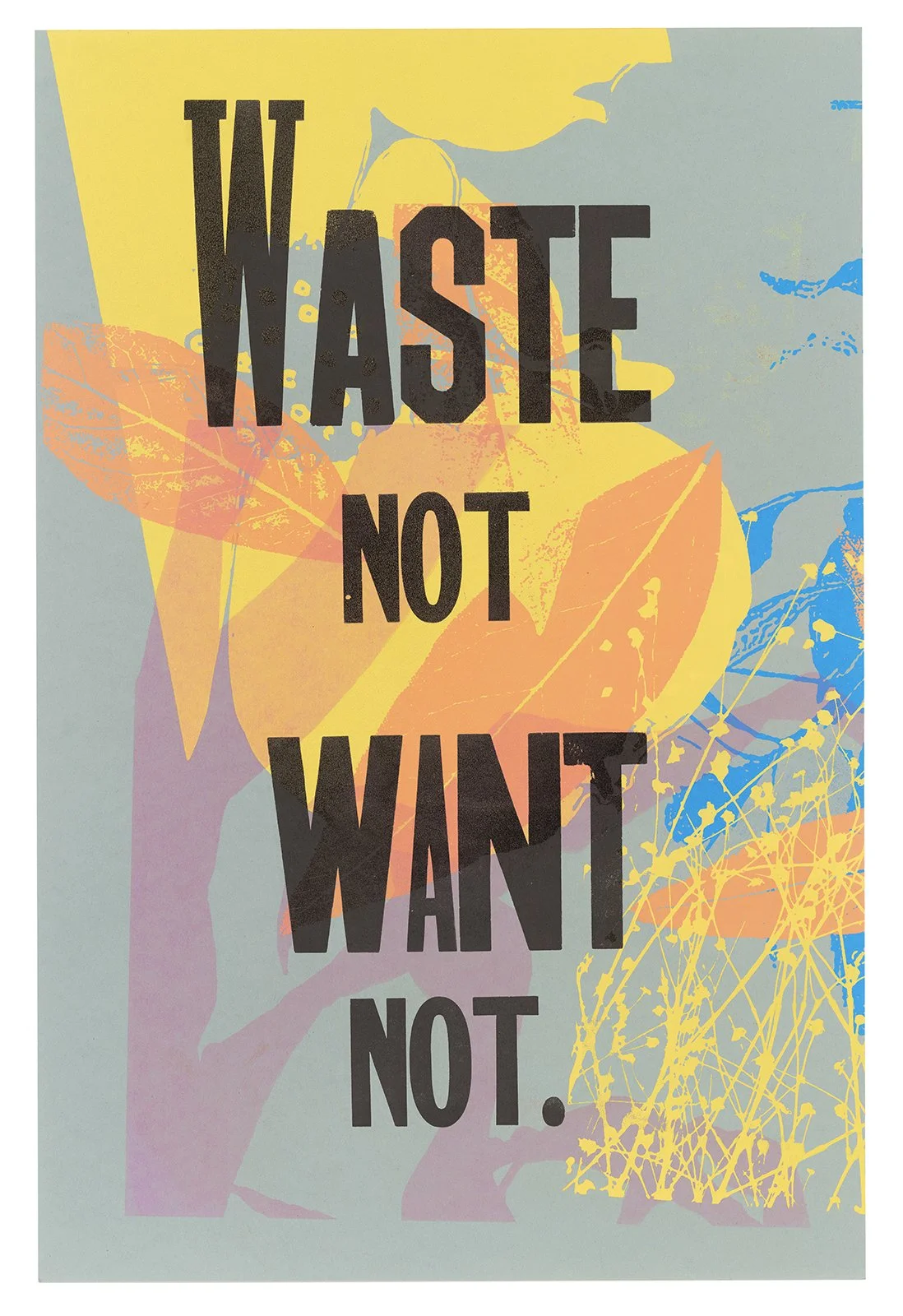 Ape_Bleakney_Mantra_Waste Not Mono - scan_213xx.jpg