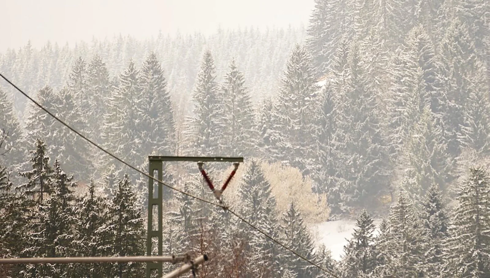 Ape_Bleakney_Germany_Black Forest_AJUA8859x.JPG