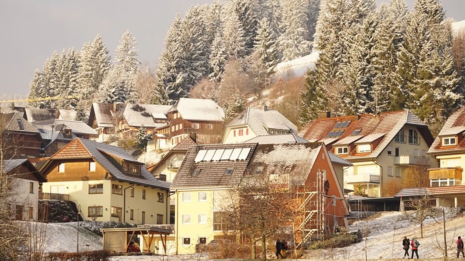 Ape_Bleakney_Germany_Black Forest_DFOX3717x.JPG