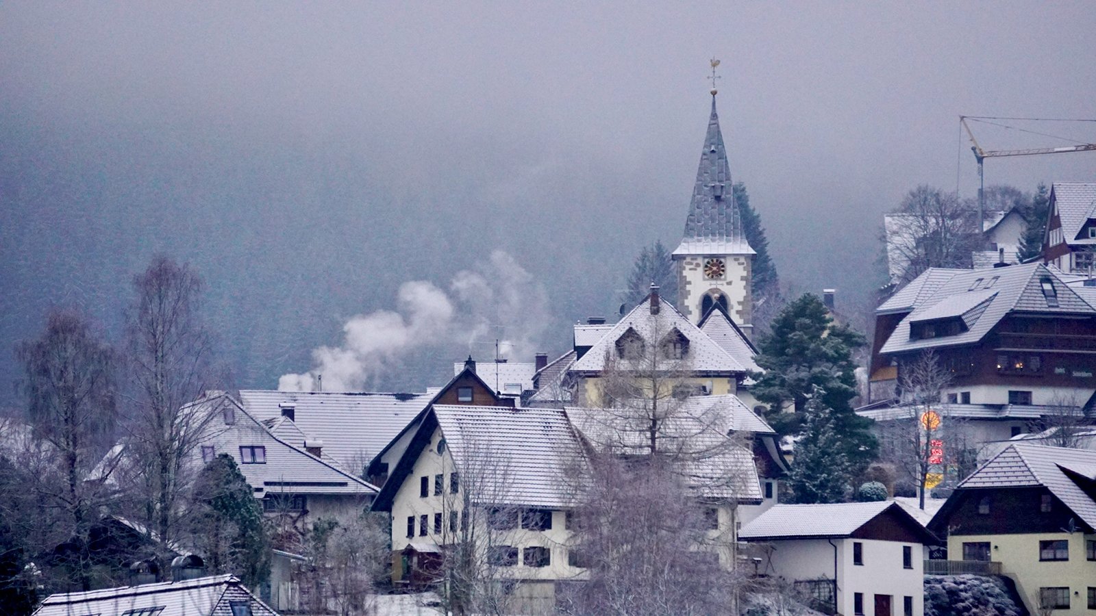 Ape_Bleakney_Germany_Black Forest_DSC0E3314x.JPG