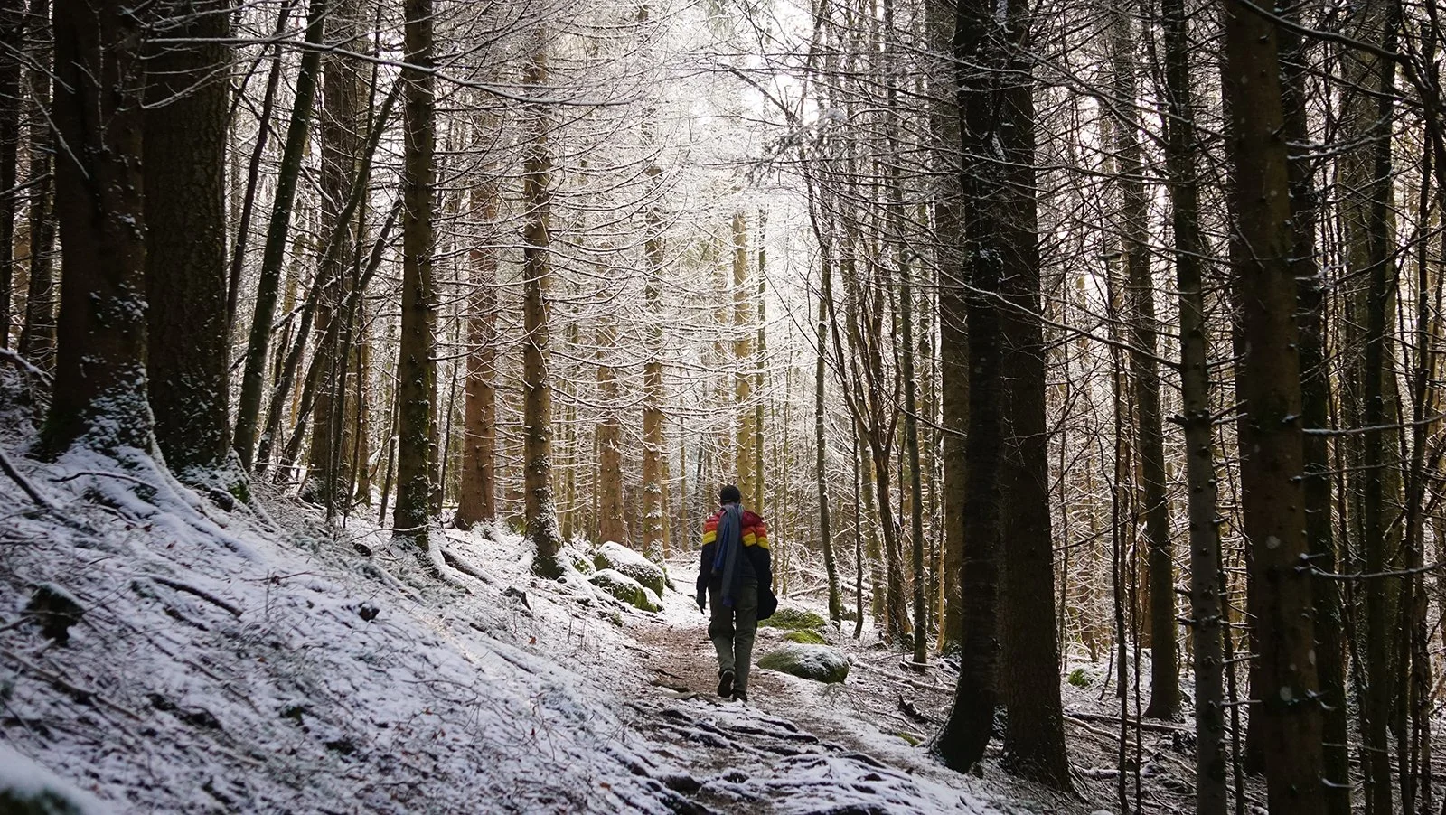 Ape_Bleakney_Germany_Black Forest_DSC03783x.JPG