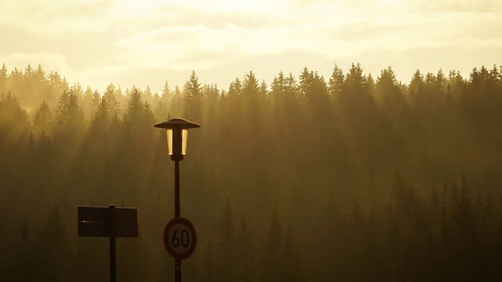 Ape_Bleakney_Germany_Black Forest_ENMO0461x.JPG