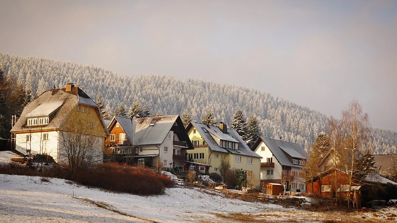 Ape_Bleakney_Germany_Black Forest_FRDA0657x.JPG