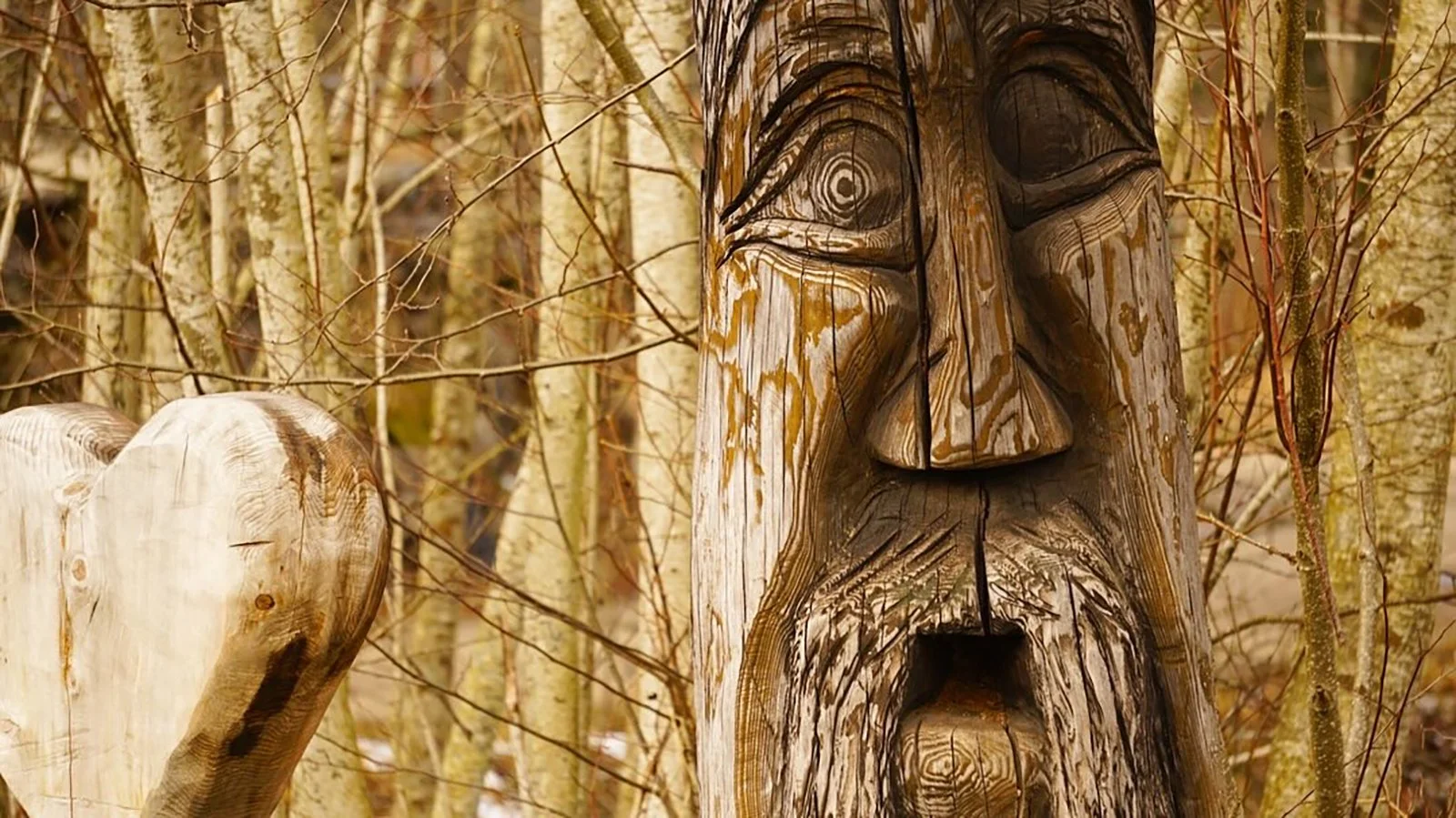 Ape_Bleakney_Germany_Black Forest_HDTY0346x.JPG