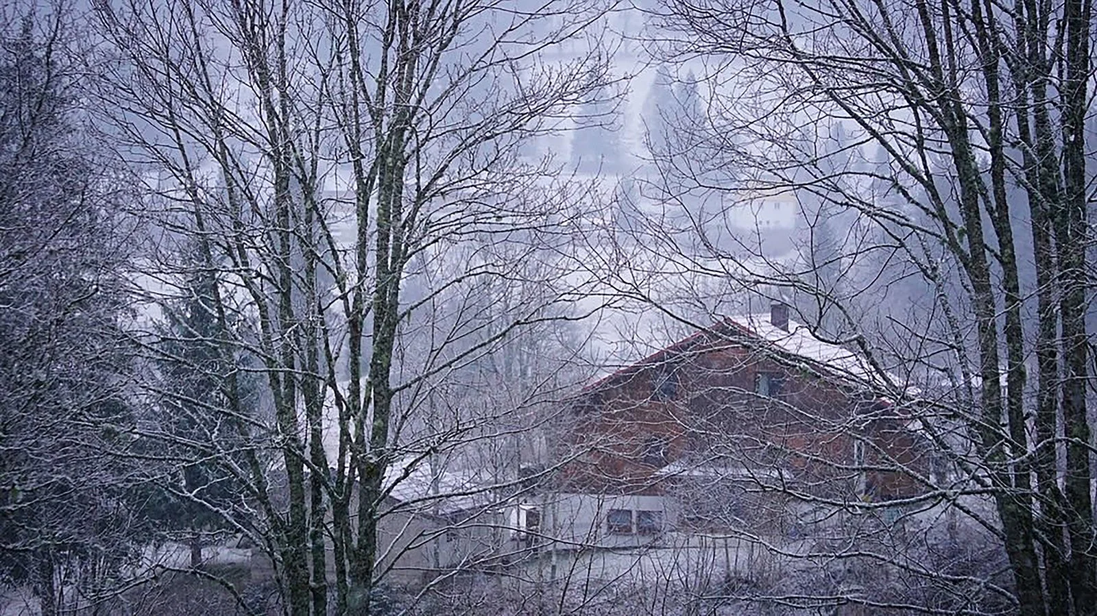 Ape_Bleakney_Germany_Black Forest_LZAZ0396x.JPG