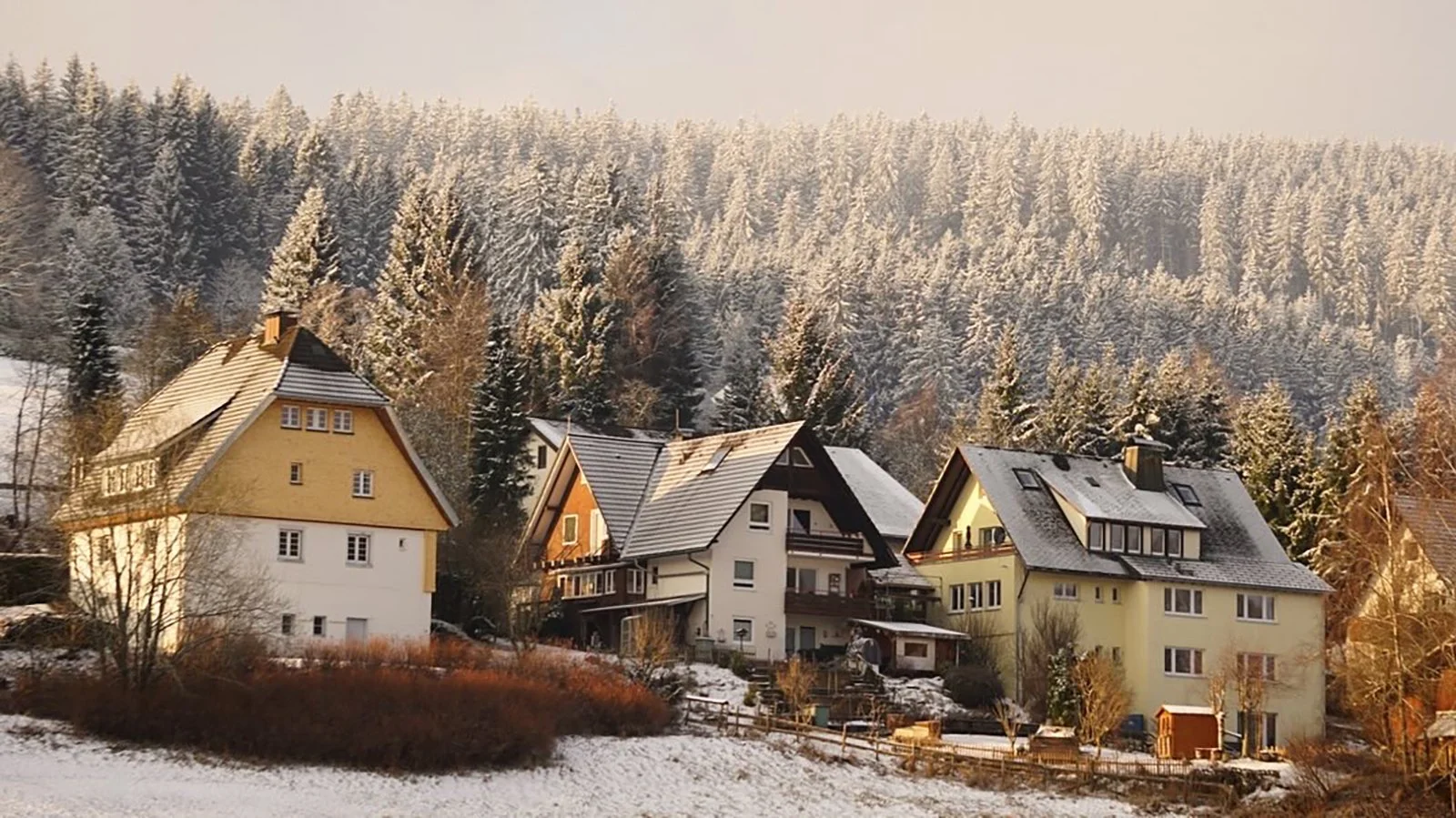 Ape_Bleakney_Germany_Black Forest_MRXD0183x.JPG