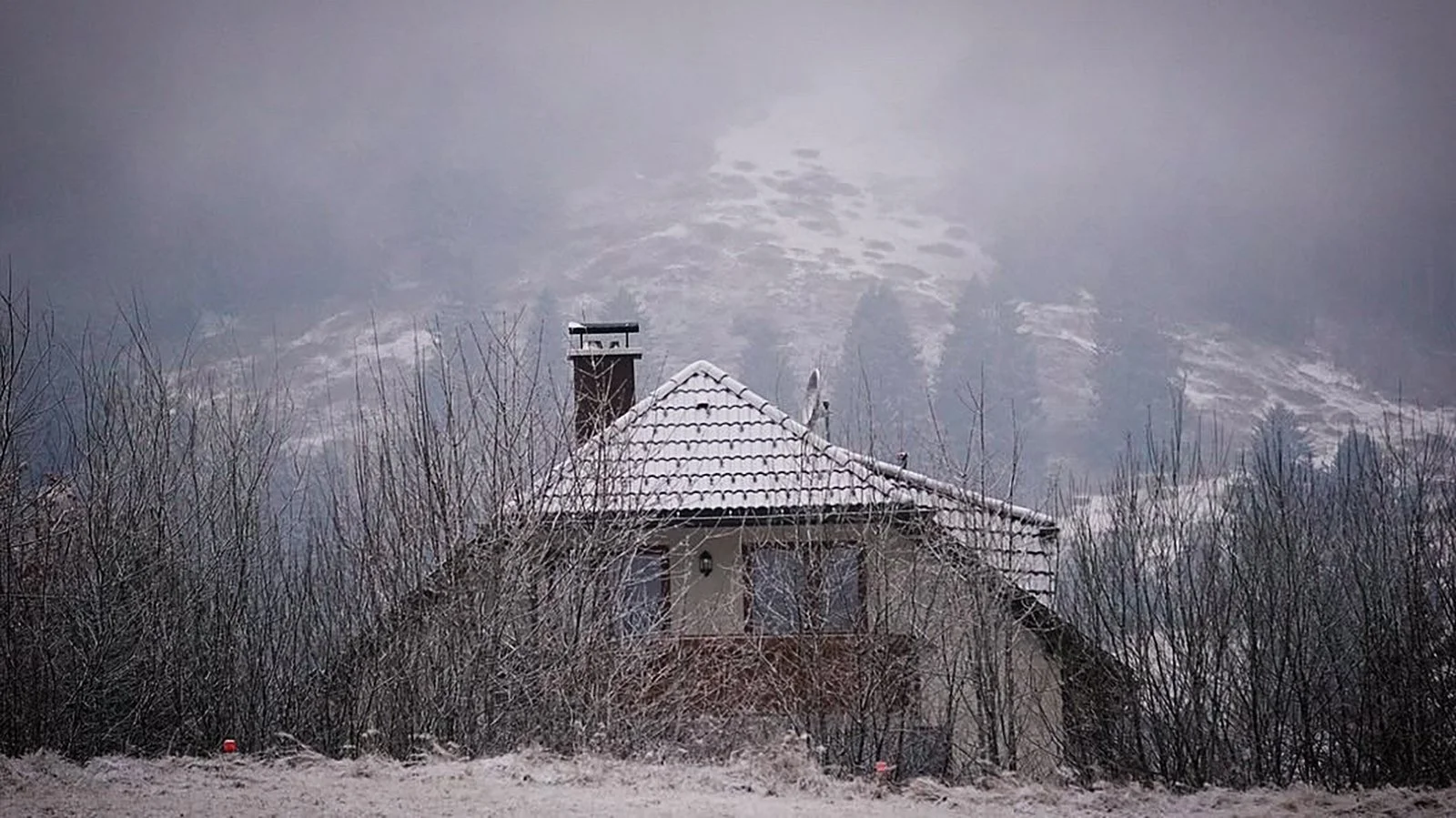 Ape_Bleakney_Germany_Black Forest_PRGJ6247x.JPG