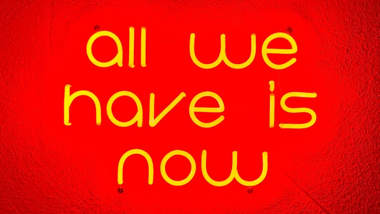 Ape_Bleakney_Germany_Black Forest_PVDS0195x.JPG