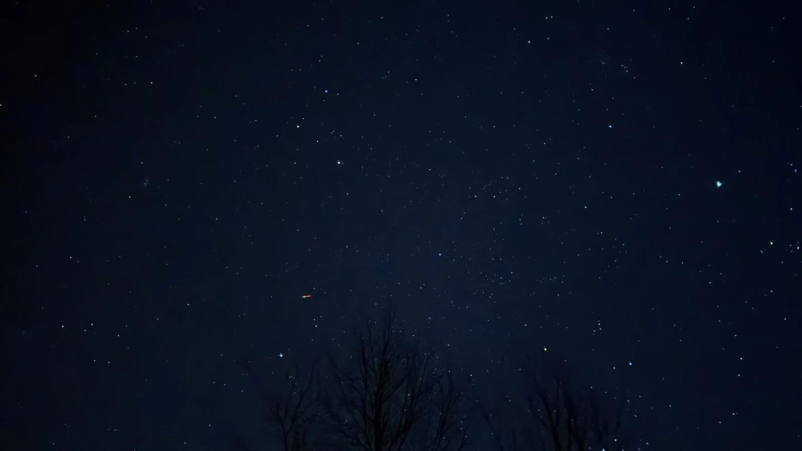 Ape_Bleakney_Germany_Black Forest_TTLT6111x.JPG