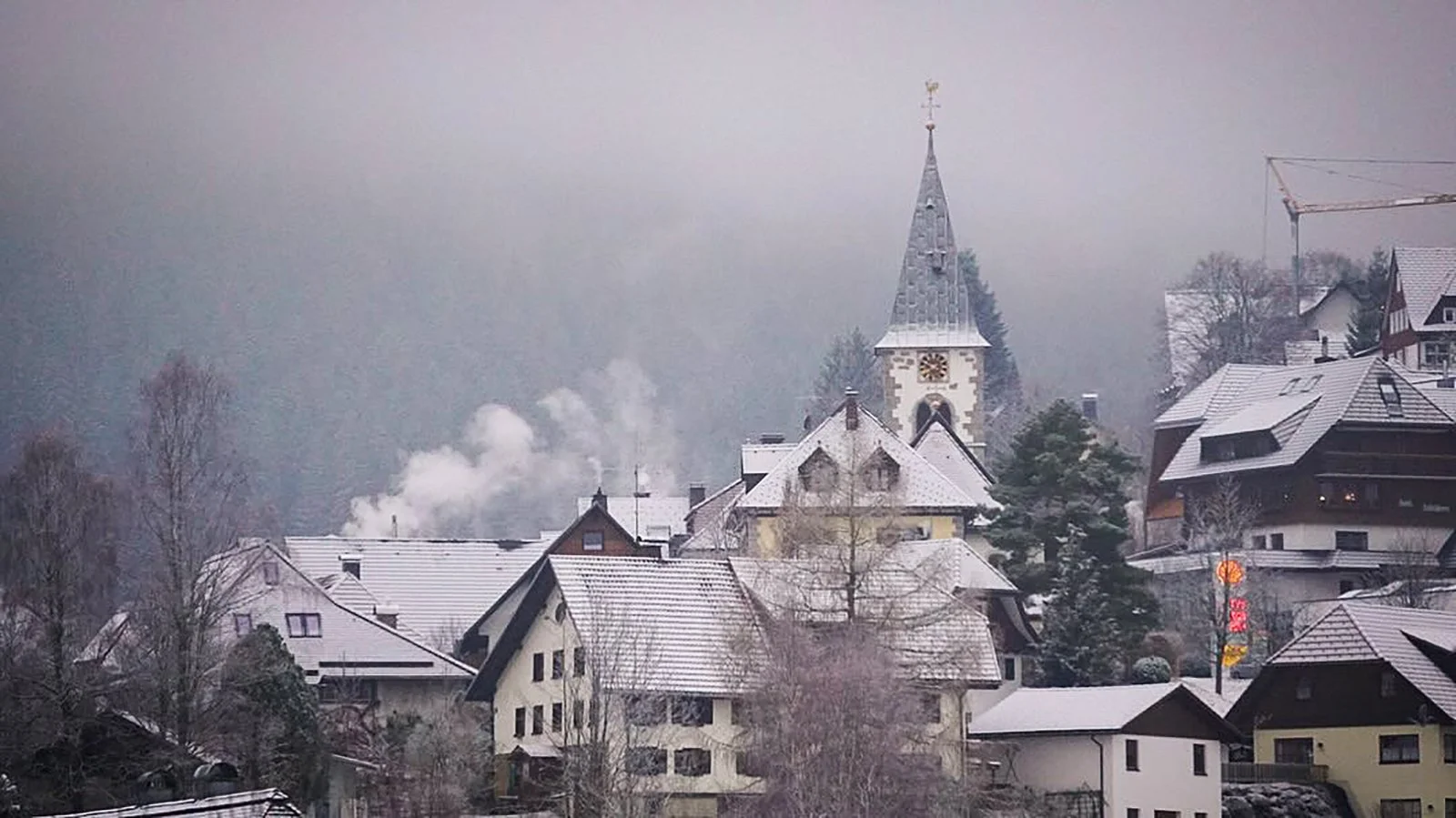 Ape_Bleakney_Germany_Black Forest_VVVY5445x.JPG